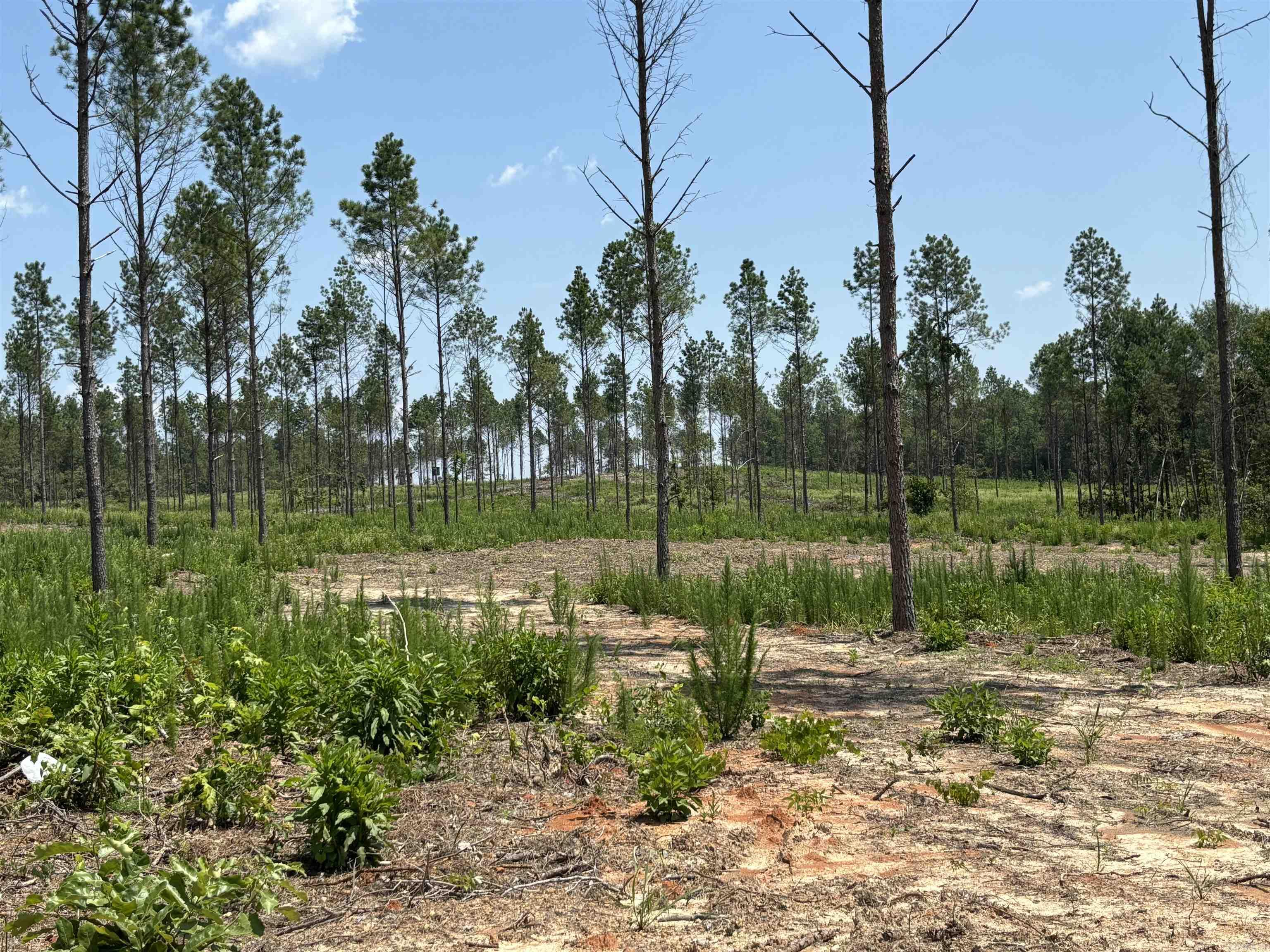 Four lots-pick your favorite!*this lot has a house pad with the stumps already cleared*pretty tract of land past the Sheridan Golf Club*under the MLS documents, you will find a drawing of the land and the restrictions*this is tract "D" on drawing*prelim perc already available* Directions: Take Grant 43 (aka Country Club Road) and go about 1.5 miles.  Property is on the left. Across from Grant County Road 433.
