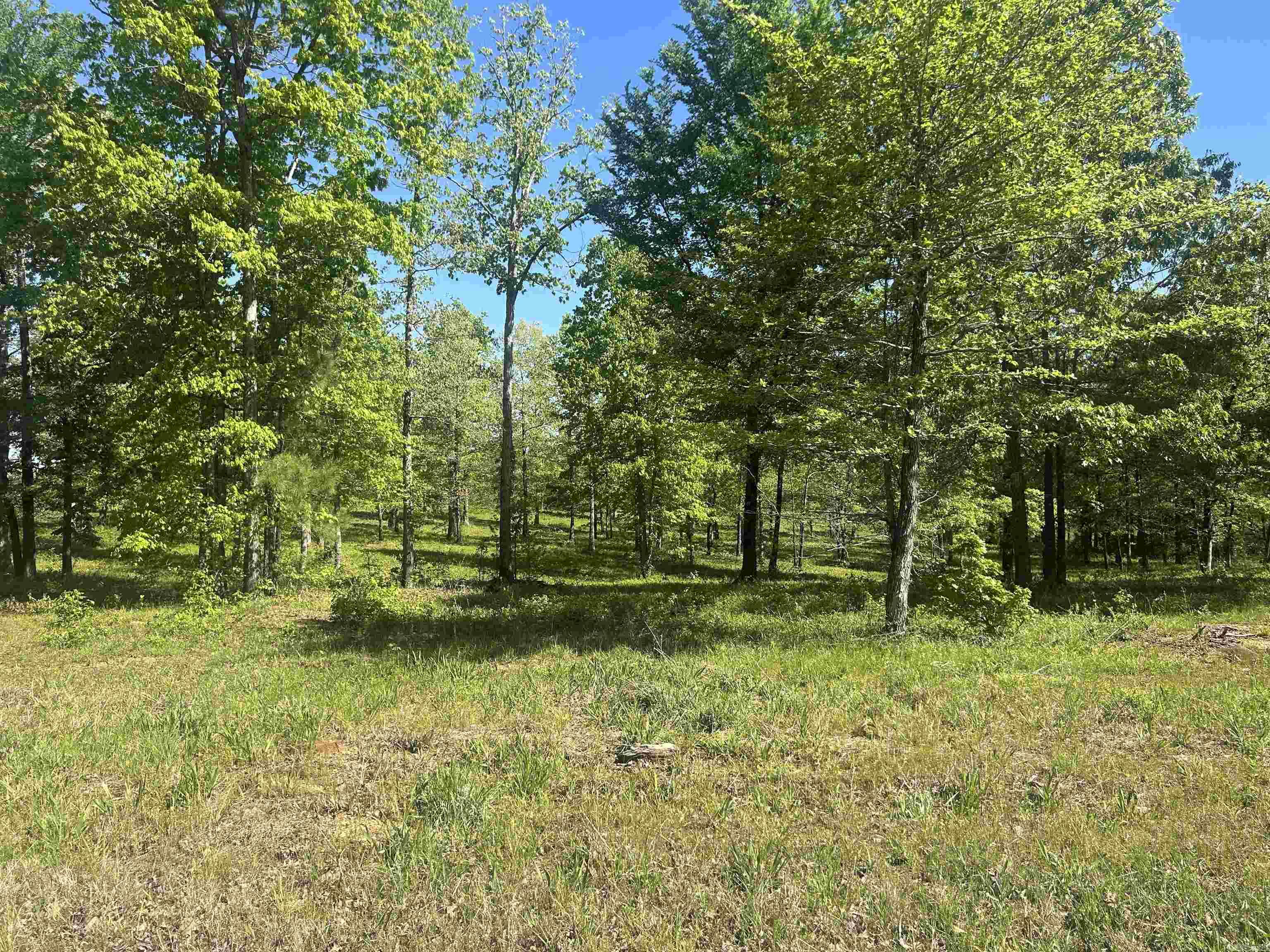 Natural gas, fiber optics and water available*lots of new houses being built*the final plat and covenants are under documents on the MLS*SHERIDAN SCHOOLS*convenient to Pine Bluff and White Hall.