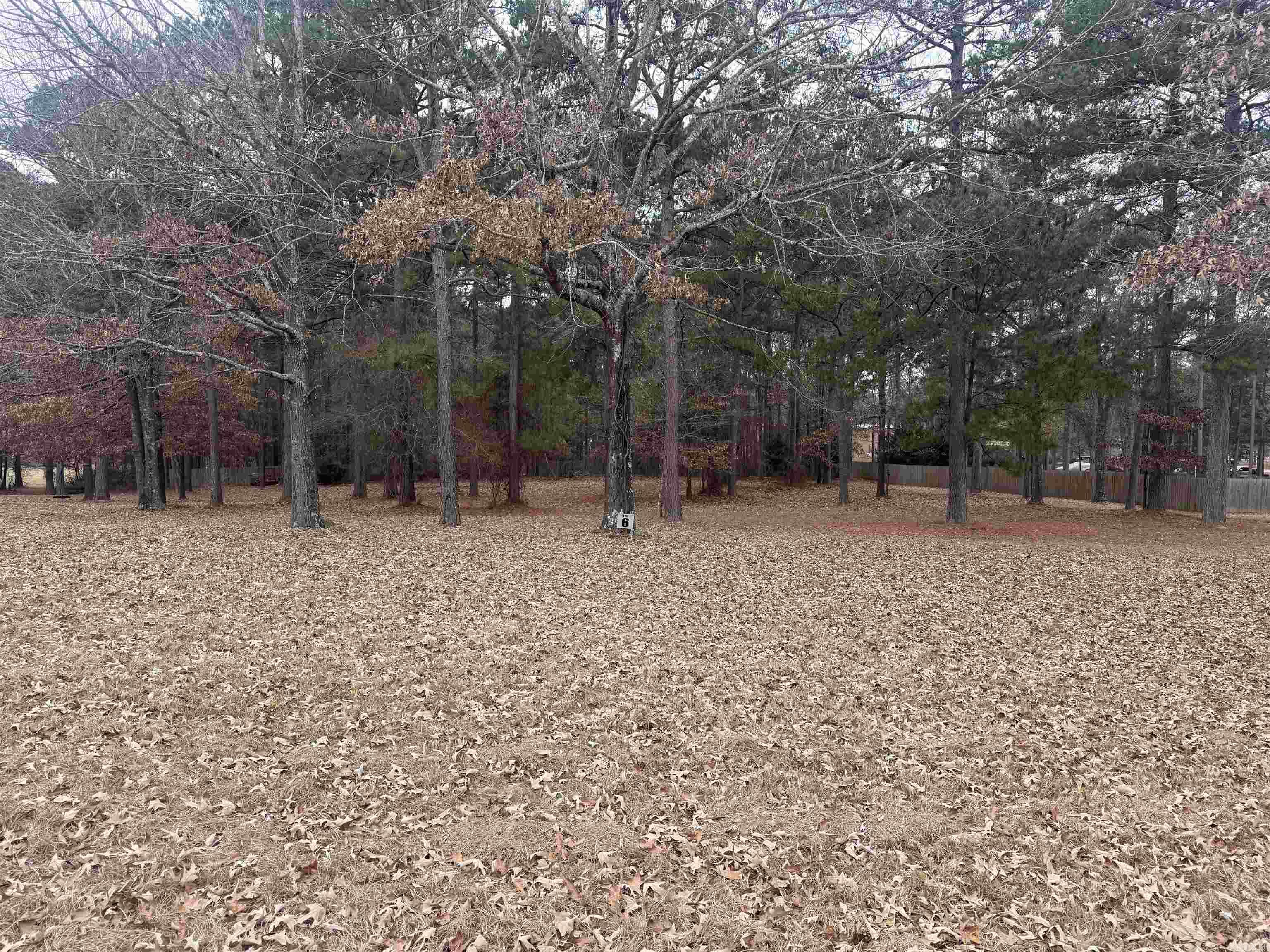Prime 1.24-Acre Lot in Highly Desired Parker’s Chapel Subdivision  Discover the perfect place to build your dream home on this beautiful 1.24-acre lot located in the highly sought-after Parker’s Chapel Subdivision. This spacious parcel offers the ideal blend of privacy, room to grow, and neighborhood appeal. The property has already been perk tested, providing added value and peace of mind for future construction.