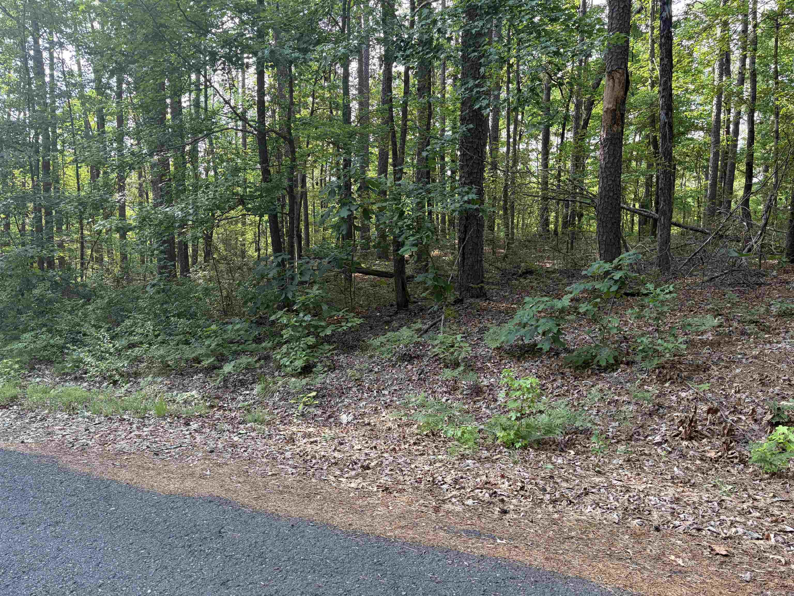 Great lot for a new build! Located close to Lake Balboa in Hot Springs Village making for easy access to all Hot Springs Village offers.