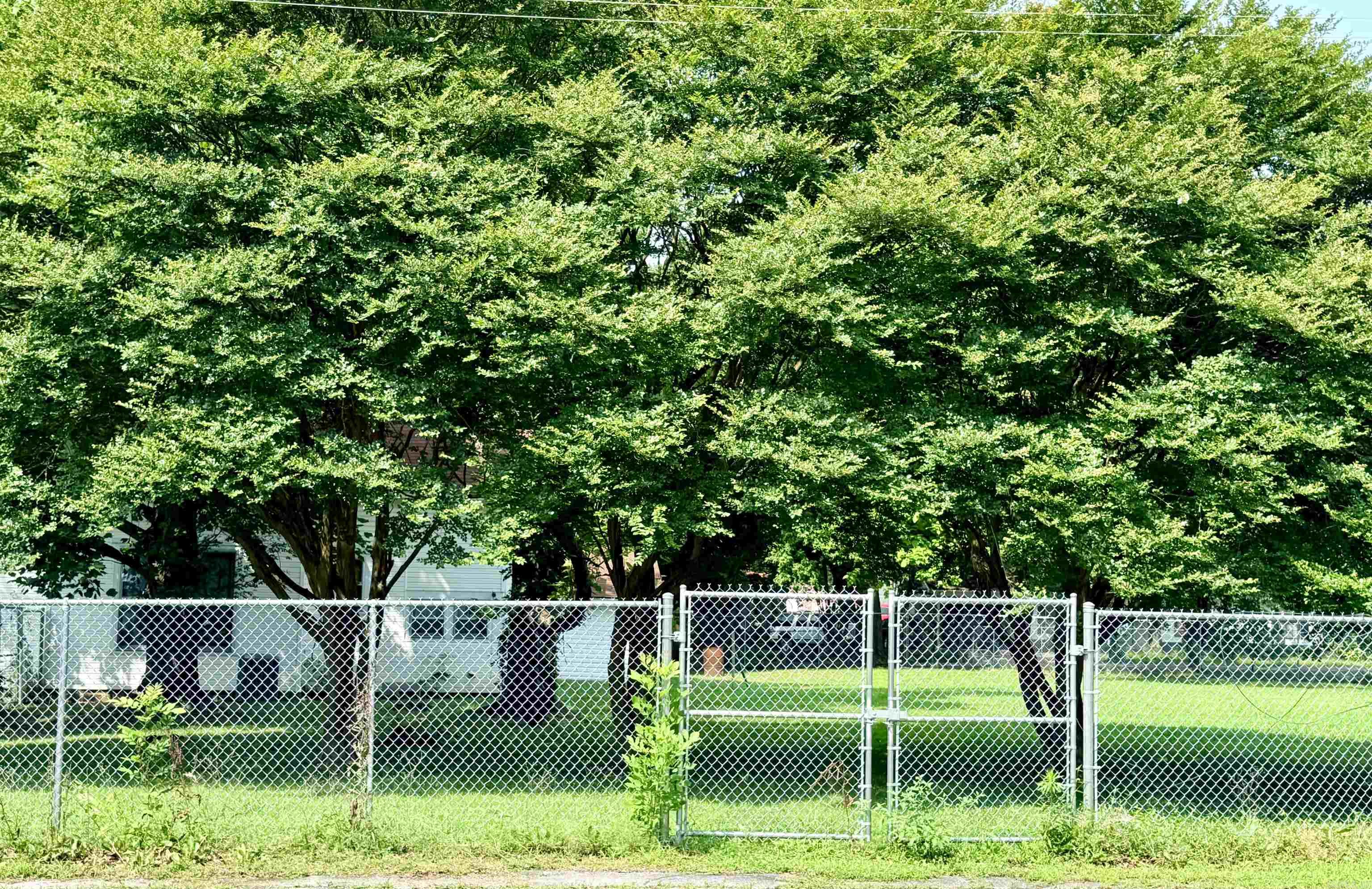 DAVIS ADDN (PANGBURN) - Residential