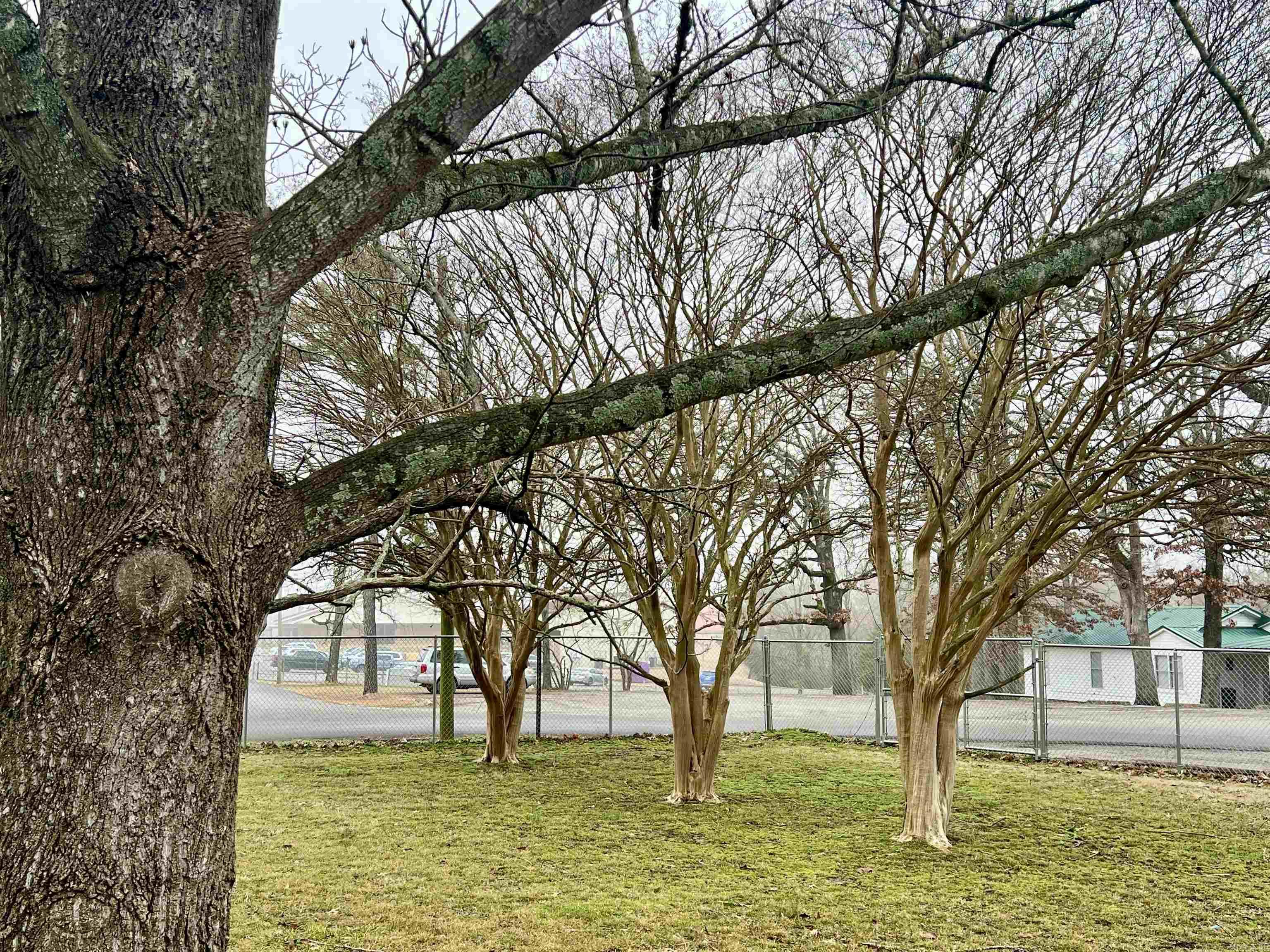 DAVIS ADDN (PANGBURN) - Residential
