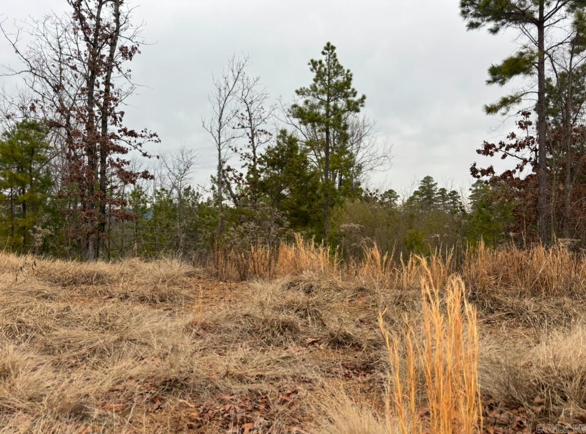 Waterview Meadows - Land