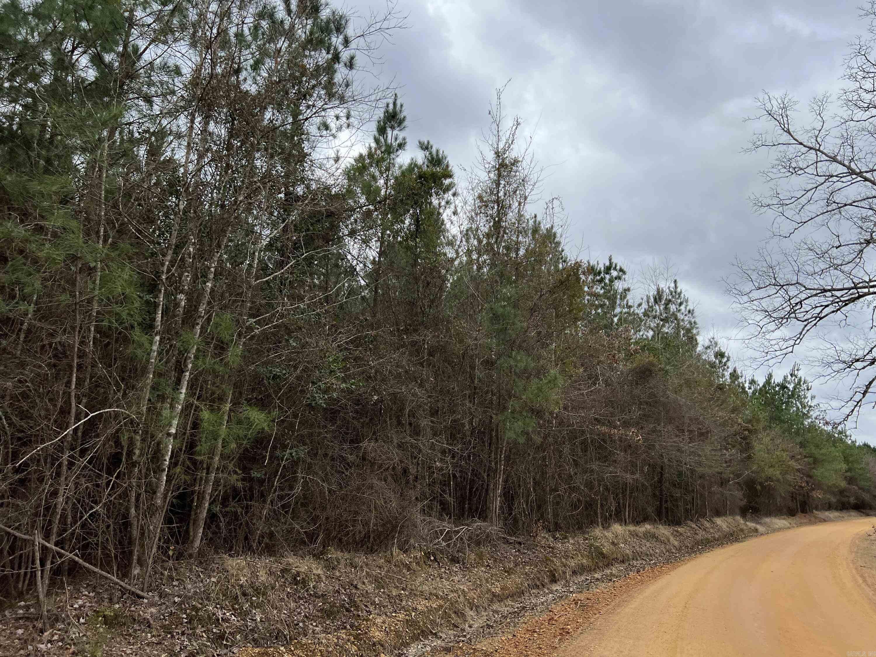 This 25-acre tract is located in Dallas County, just east of Sparkman, Arkansas. The property has approximately .25 miles of gravel road frontage along Dallas 253. This tract was planted with pine in 2010, making it an excellent timber investment. Recreational opportunities also exist, with deer and turkey in the area. There are utilities present, such as water and electricity. The property is 17 miles to Arkadelphia, 22 miles to Camden, and 30 miles to Malvern. You want to take advantage of this opportunity to purchase a fantastic timber and recreational property.