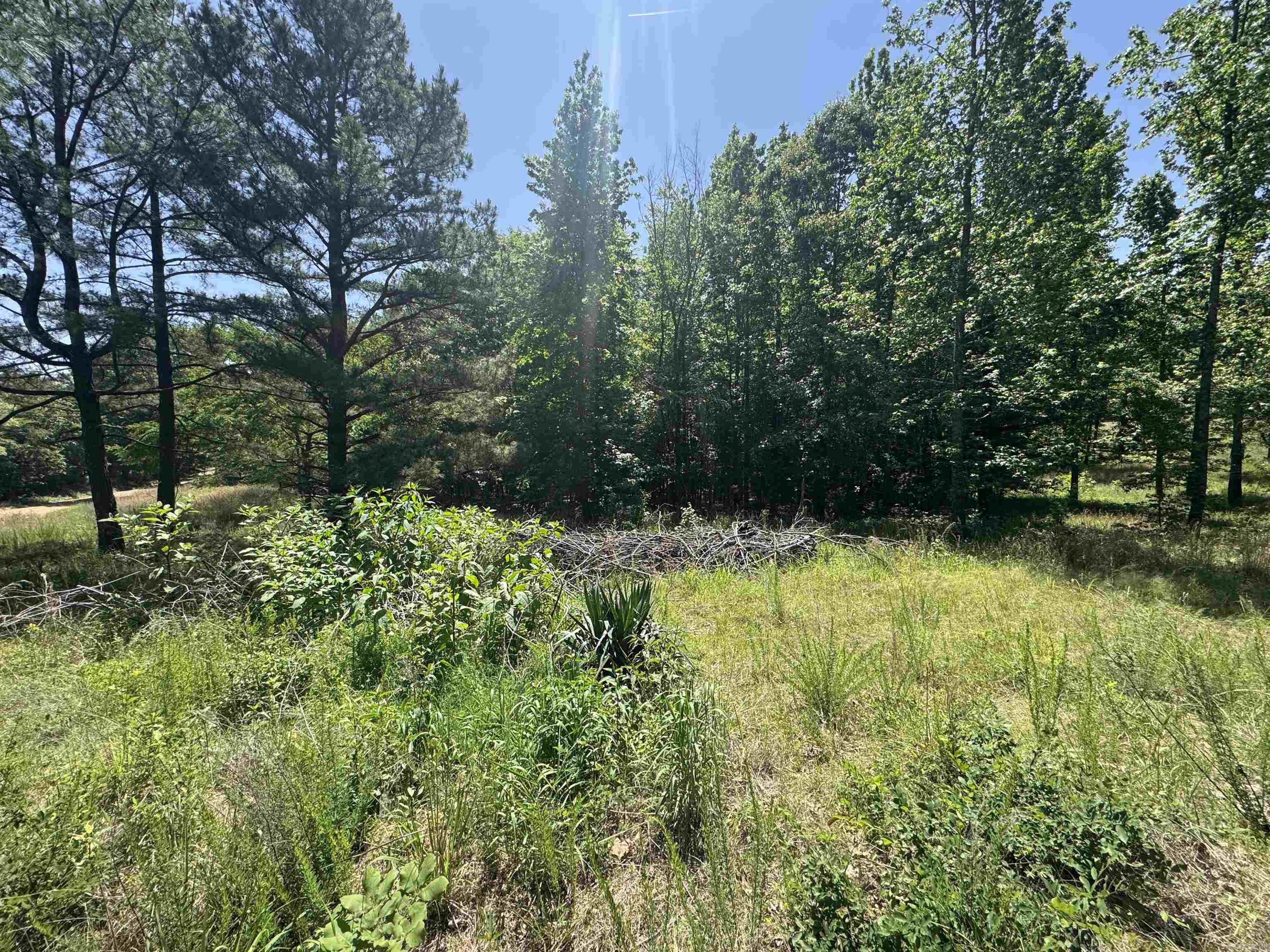 10 acres of country paradise. If you've been dreaming of peaceful country living, this one checked all the boxes! Featuring 10 beautiful acres with a pond, rolling hills, plenty of room to roam. This property offers the perfect mix of privacy and convenience, tucked away just off a paved road, you'll enjoy the quiet of the countryside and not too far off pavement. So, whether you're looking to build, hunt, fish, or simply relax and enjoy the view this property has endless potential!