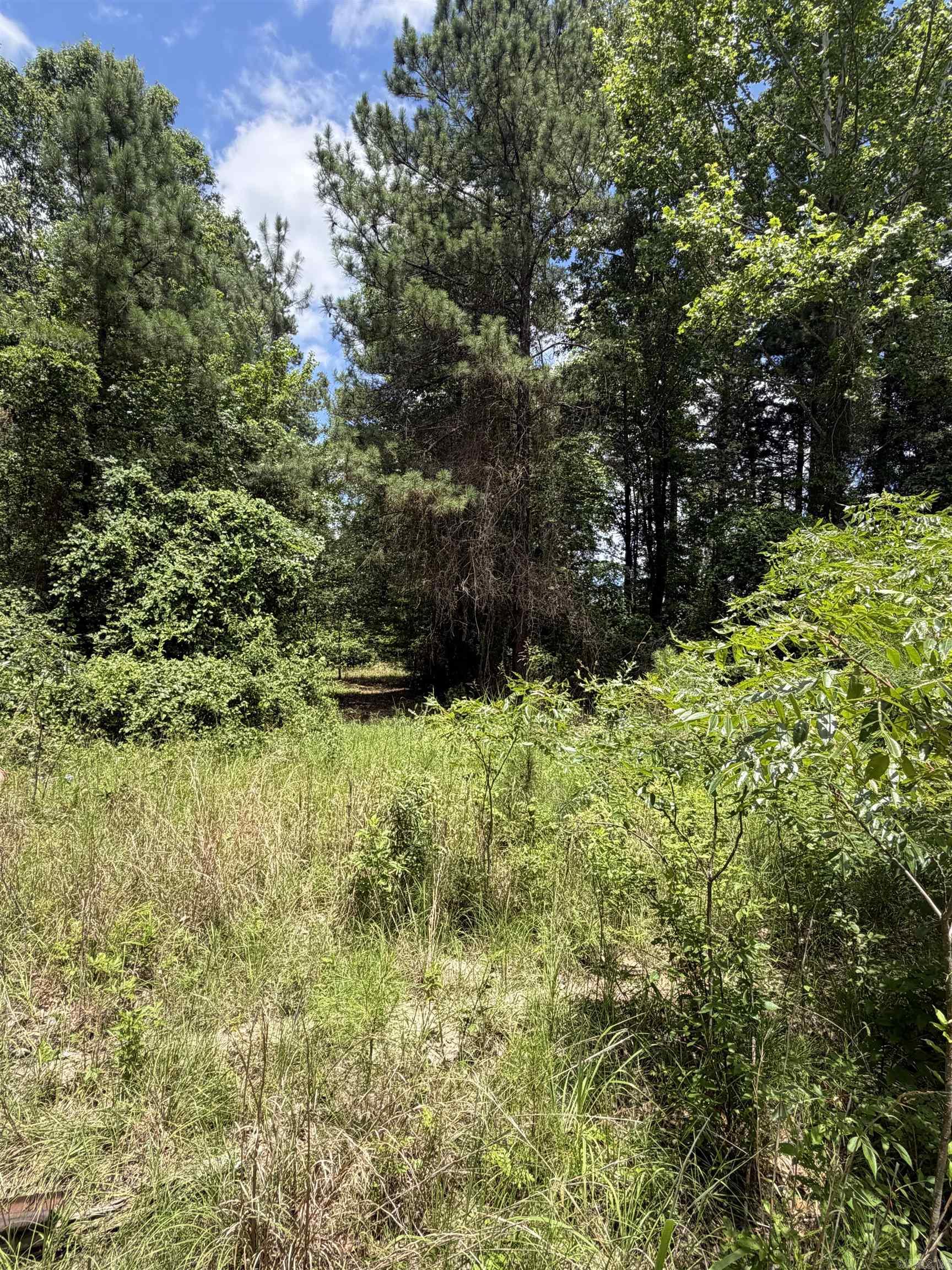 Sparkman Original - Residential