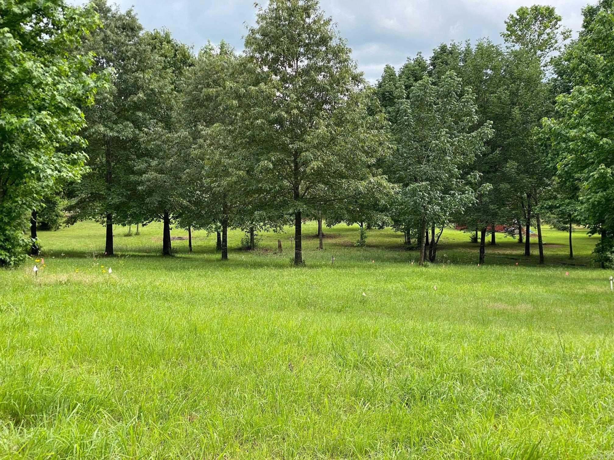 Beautiful lots located in Bean Point Estates close to Cove Creek Park, ready for you to build your forever home!! Minimum build in this subdivision is 1500 sq ft and the lots have been perked and mostly cleared.  Great location to put in your boat or swim at the Cove Creek Park which is right down the road!!! Check these out and get started on your new home!!! Two adjoining lots are also available for sale