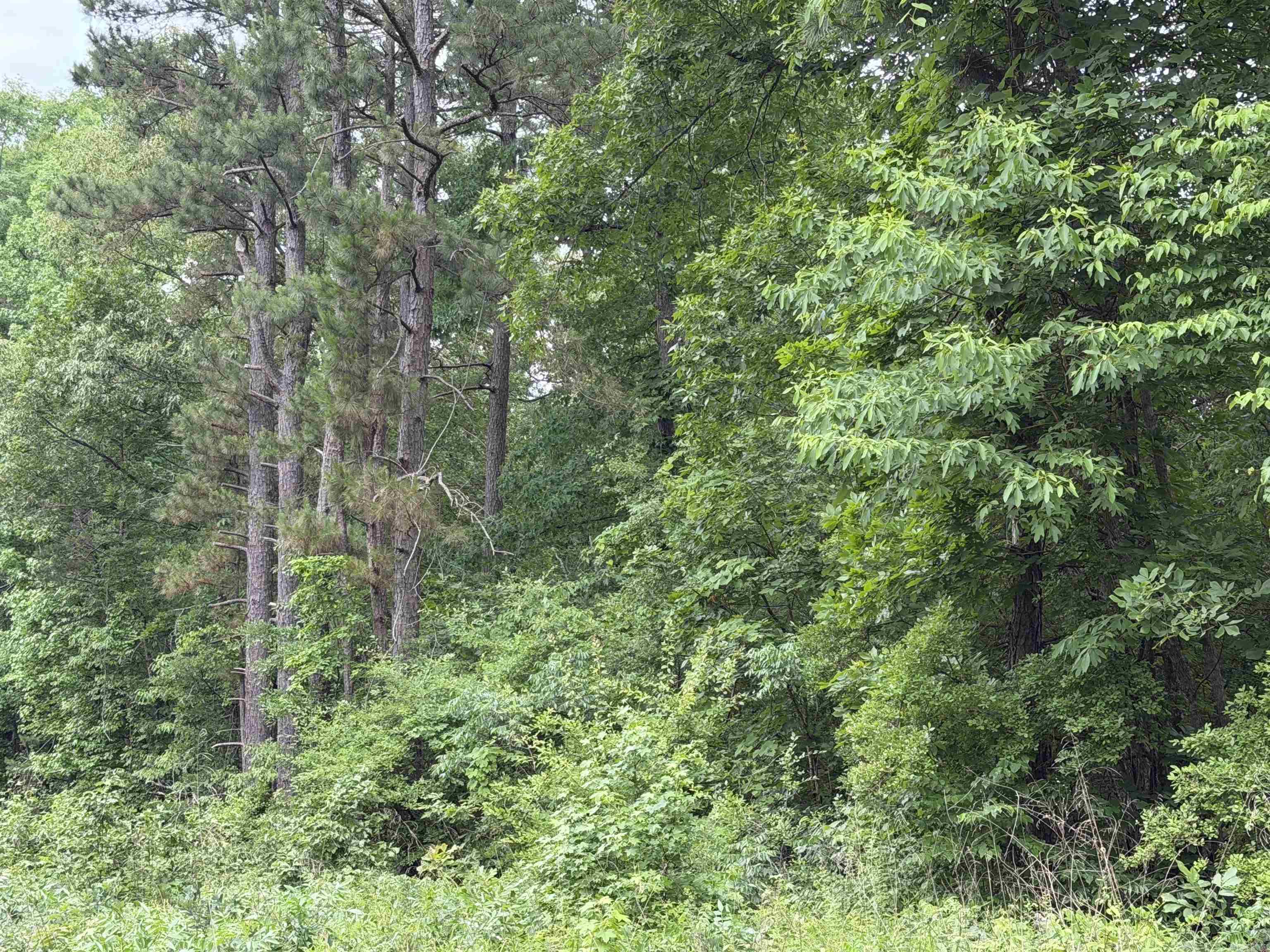 Escape to the perfect blend of privacy and convenience with this beautiful 3.75-acre wooded property just outside the city. Nestled among mature trees, this peaceful tract offers plenty of space to build your dream home, create a private retreat, or invest for the future. Enjoy the tranquility of country living while remaining just minutes from all the shopping, dining, schools, and entertainment that Little Rock, Bryant, and Sheridan have to offer. You'll appreciate the convenience of being close to everything without sacrificing the beauty and serenity of nature. This 3.75-acre parcel is ready for your vision. Don't miss your chance to own a slice of Arkansas in an ideal location!