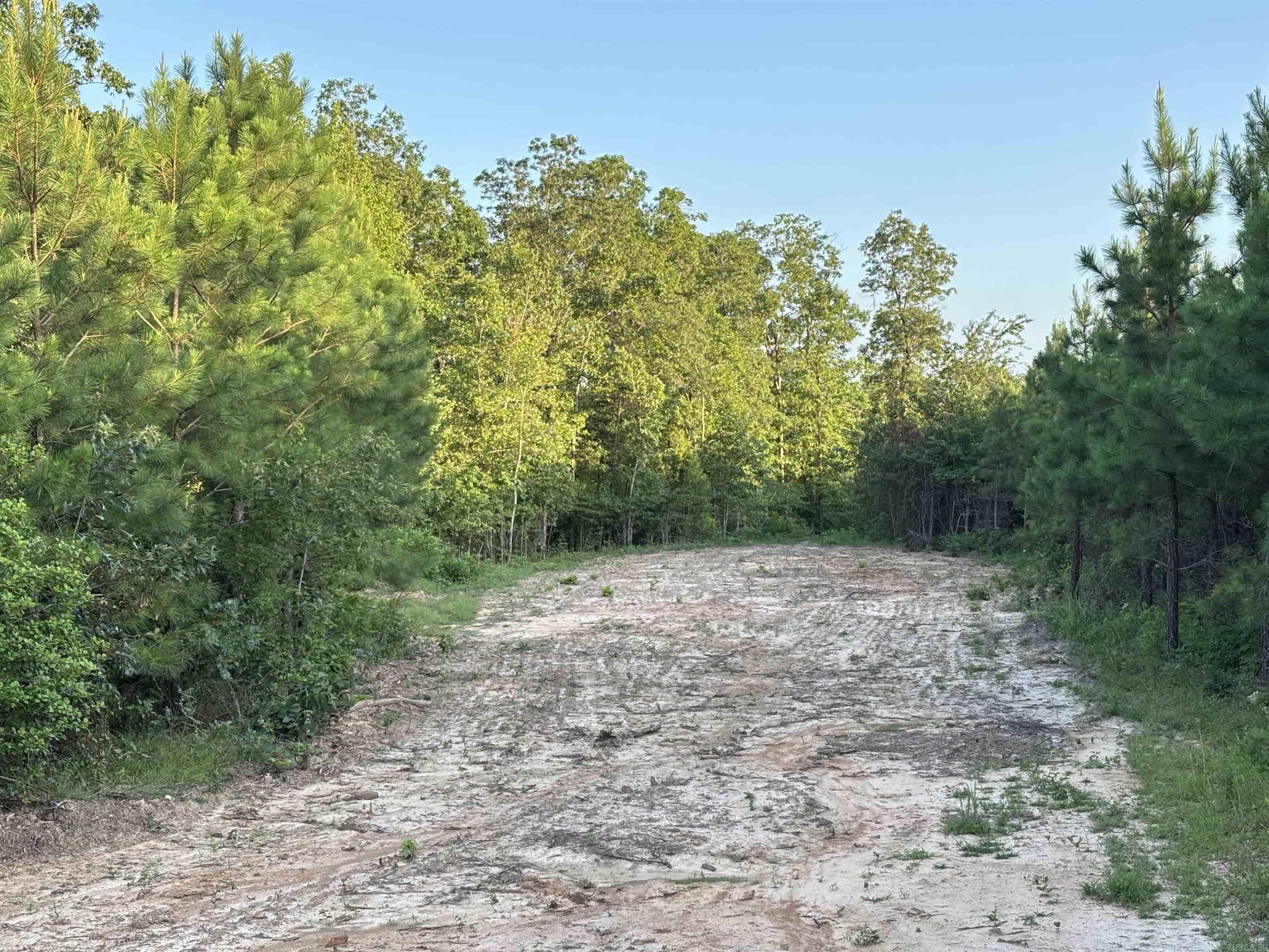 Lake Avalon Estates - Land