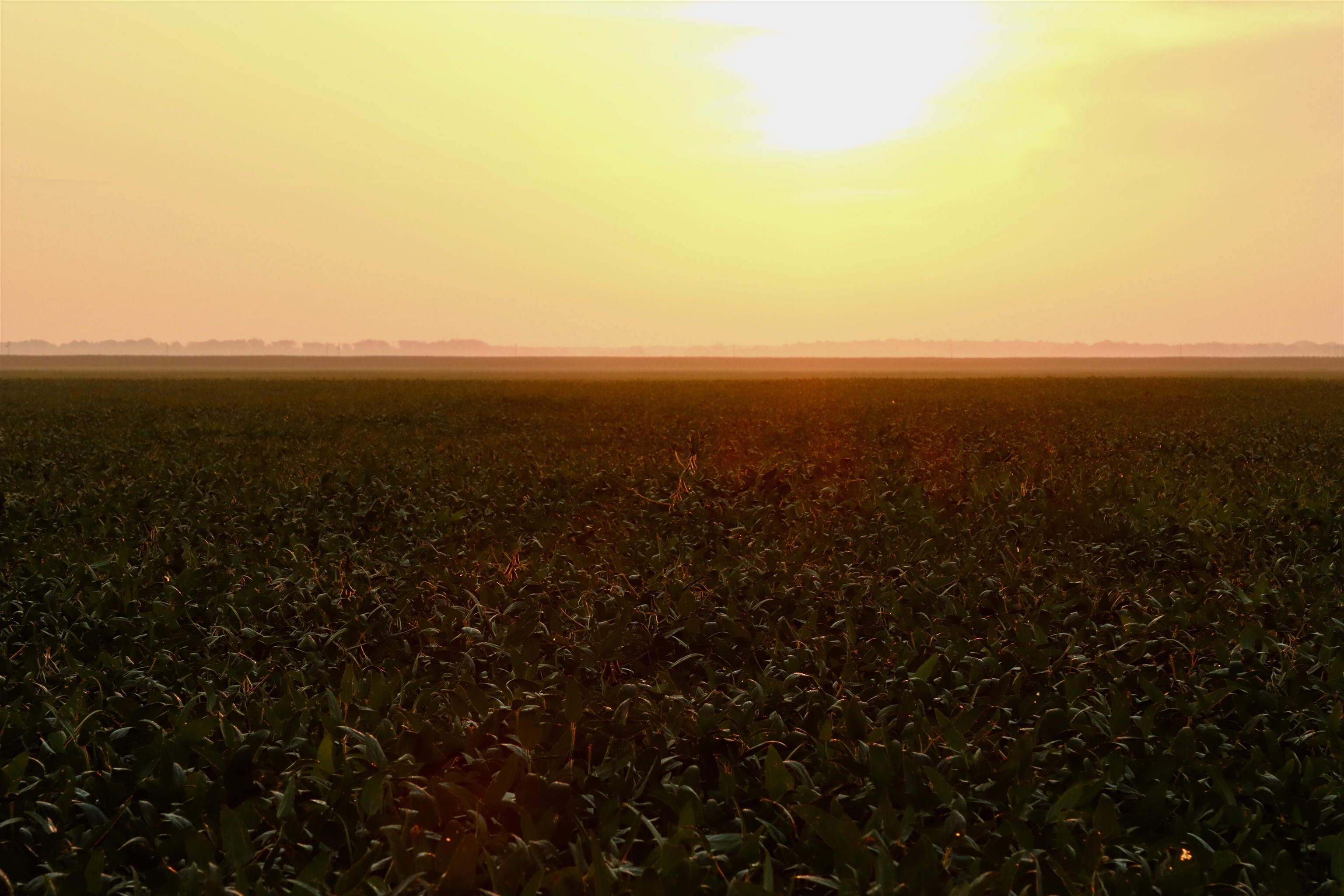 Metes & Bounds - Farm