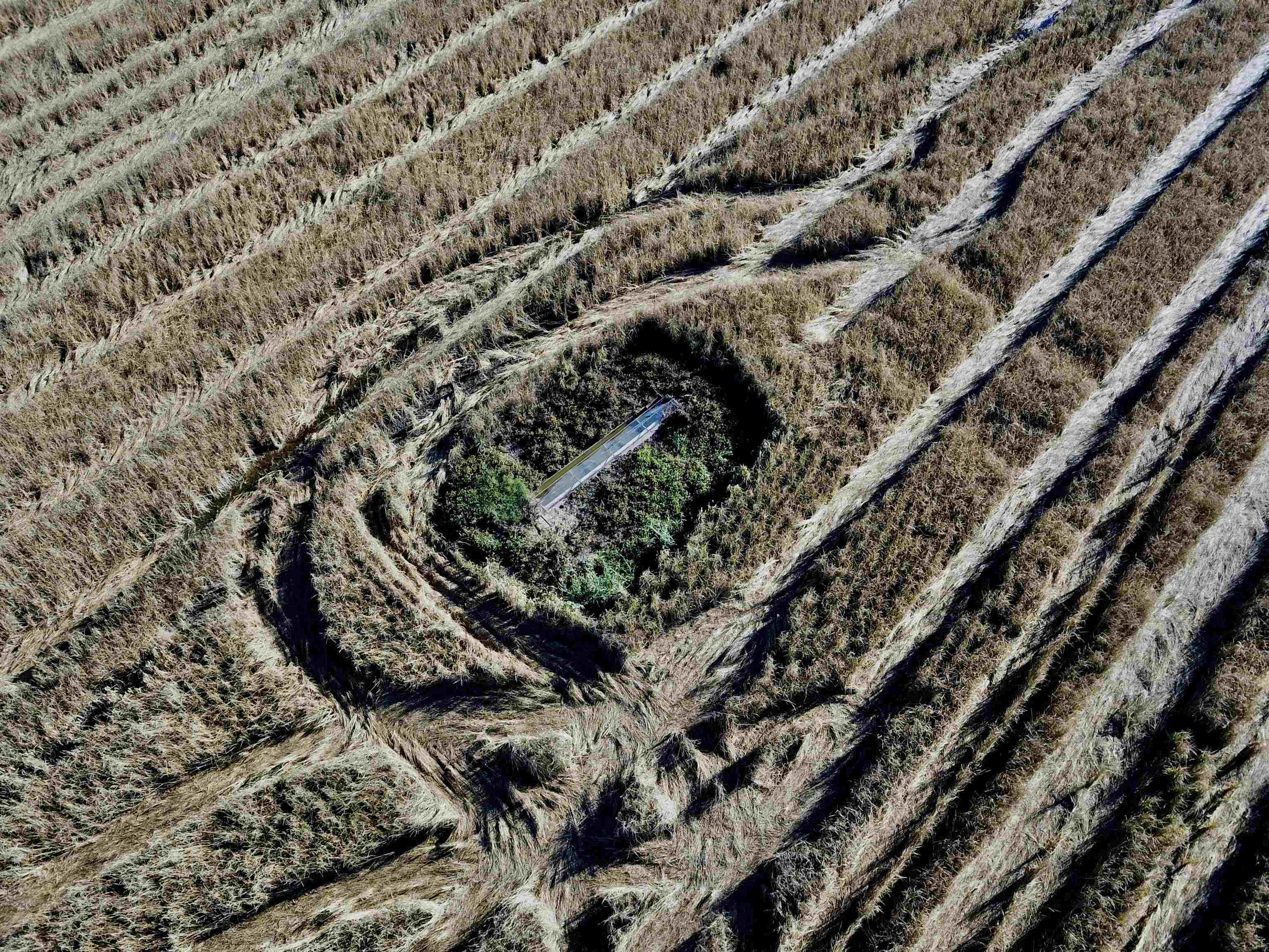 Metes & Bounds - Farm