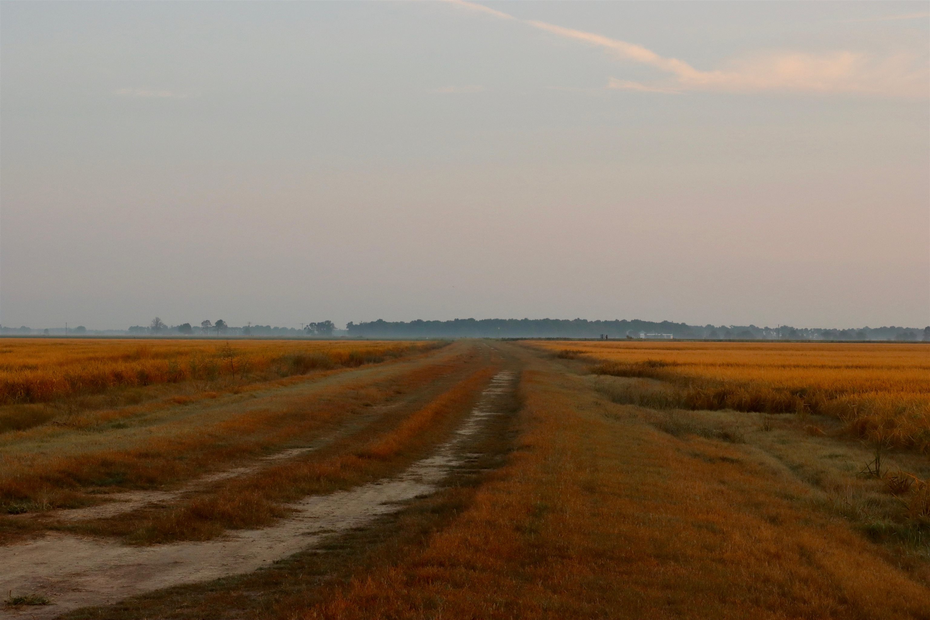 Metes & Bounds - Farm