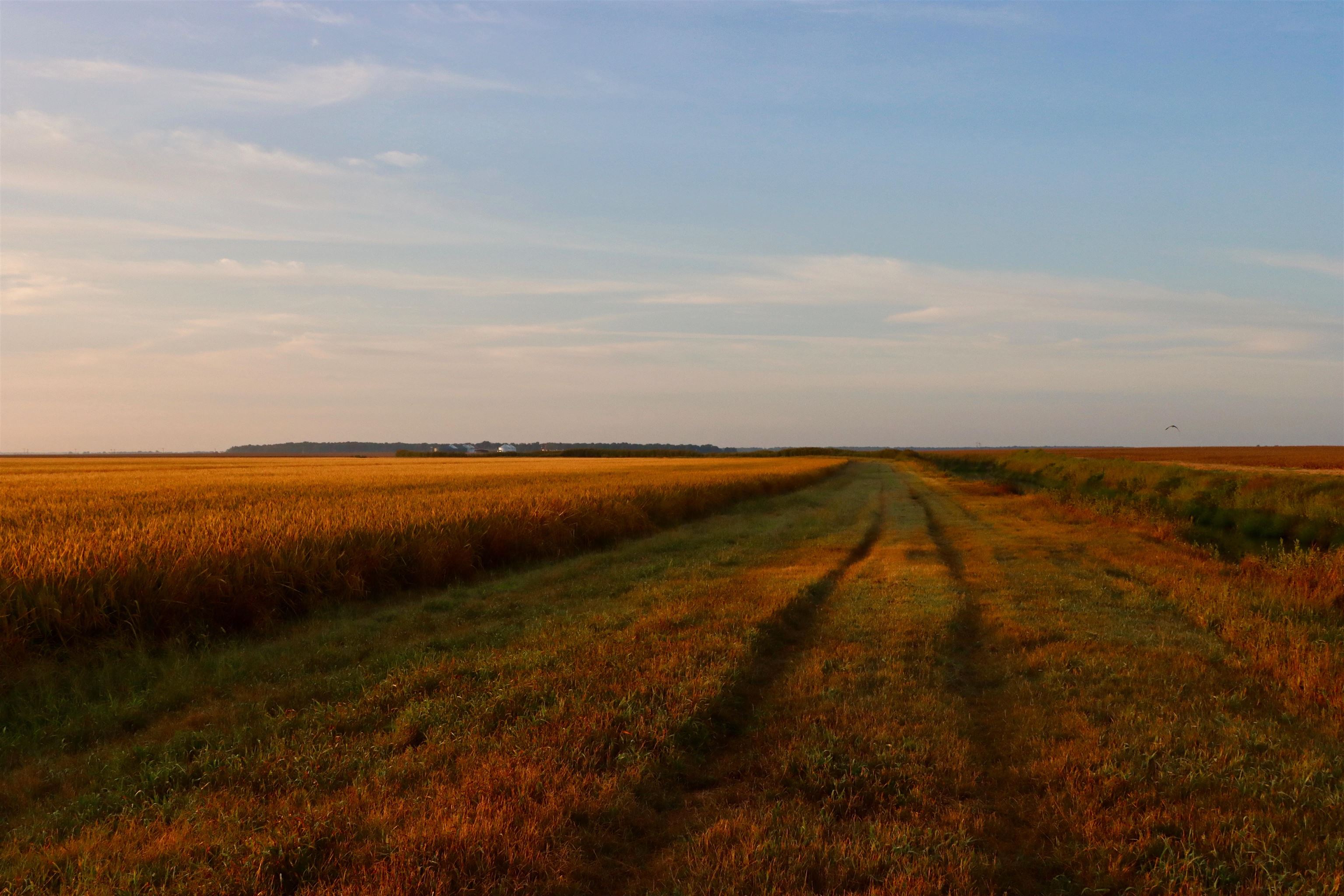 Metes & Bounds - Farm