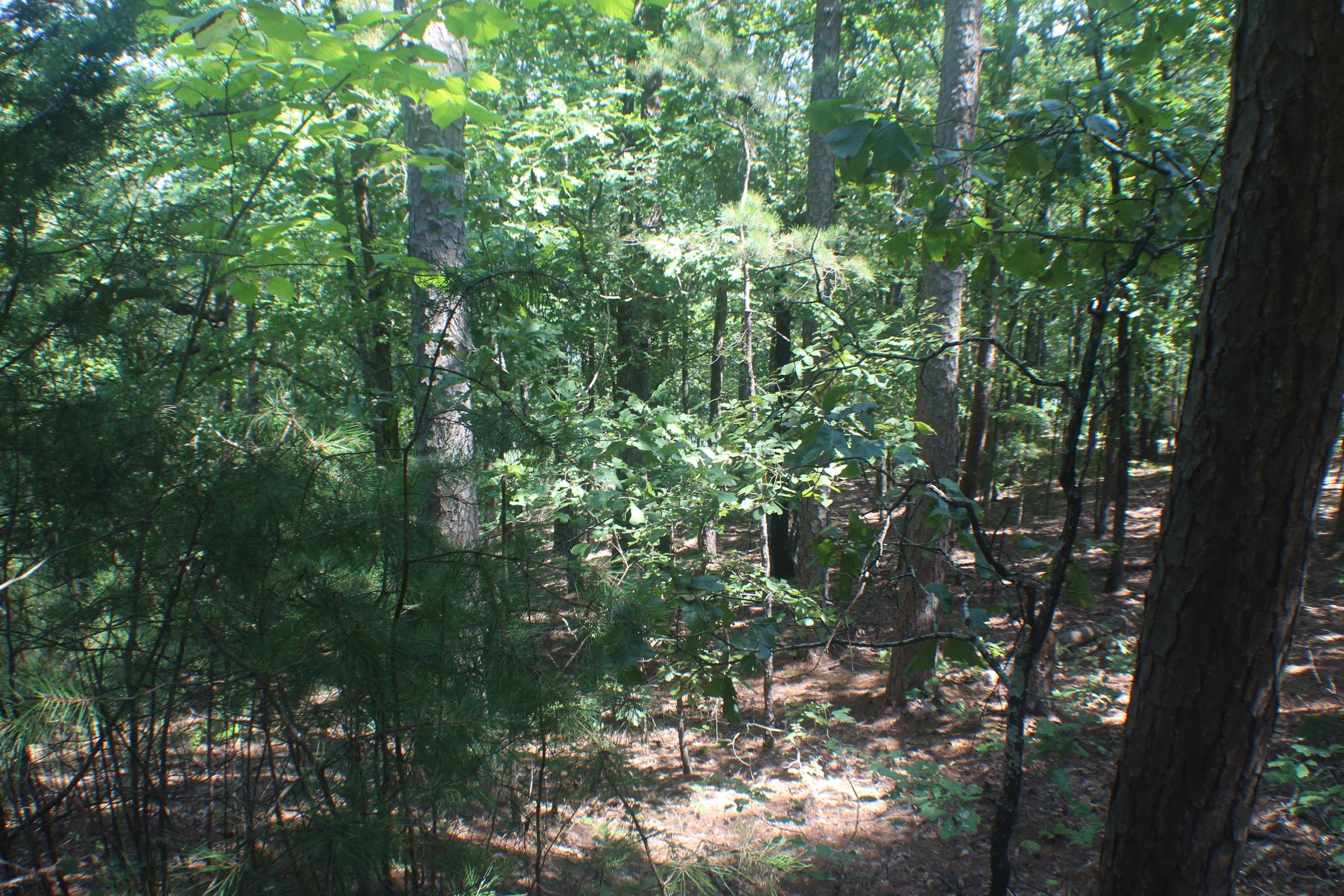 Miller Point - Land