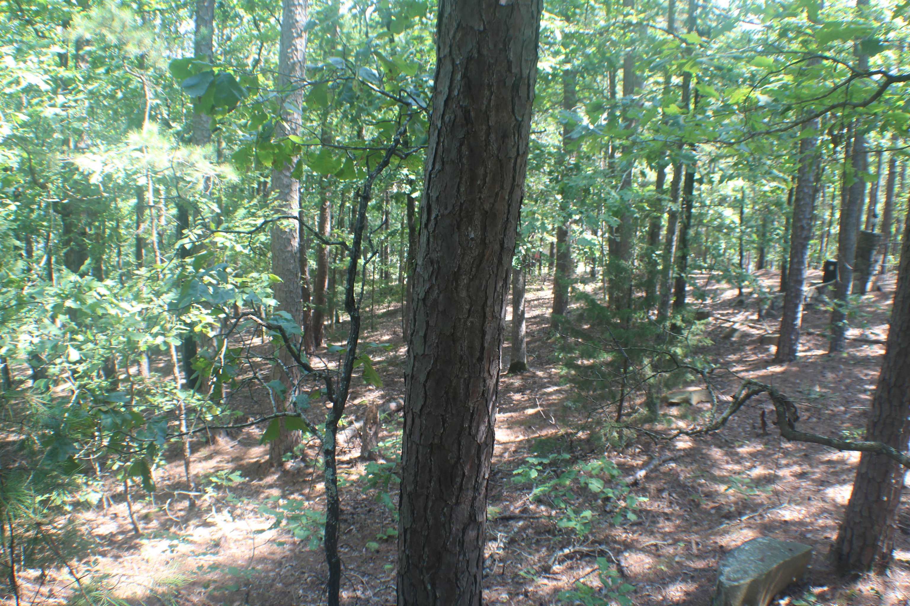 Miller Point - Land