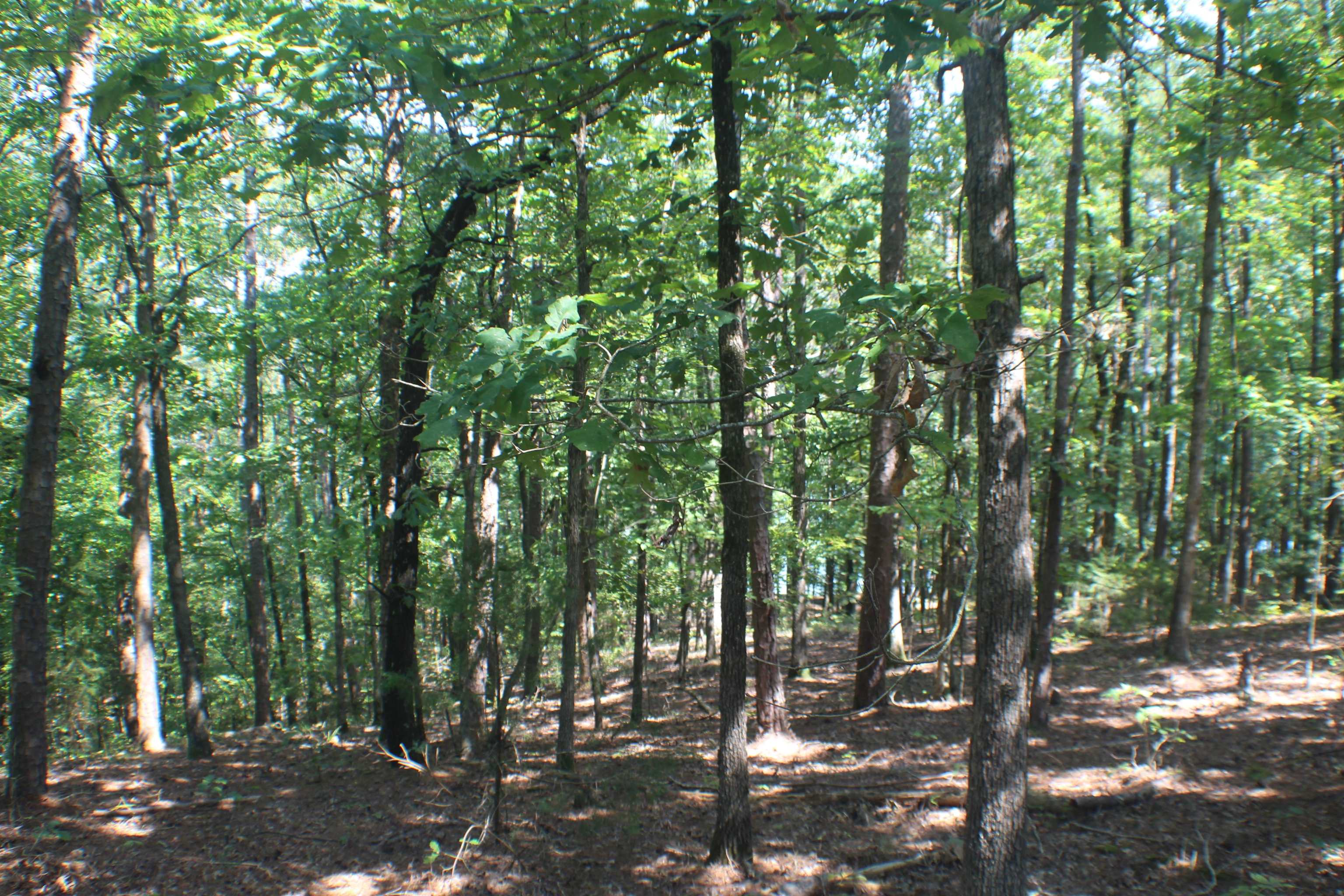 Miller Point - Land