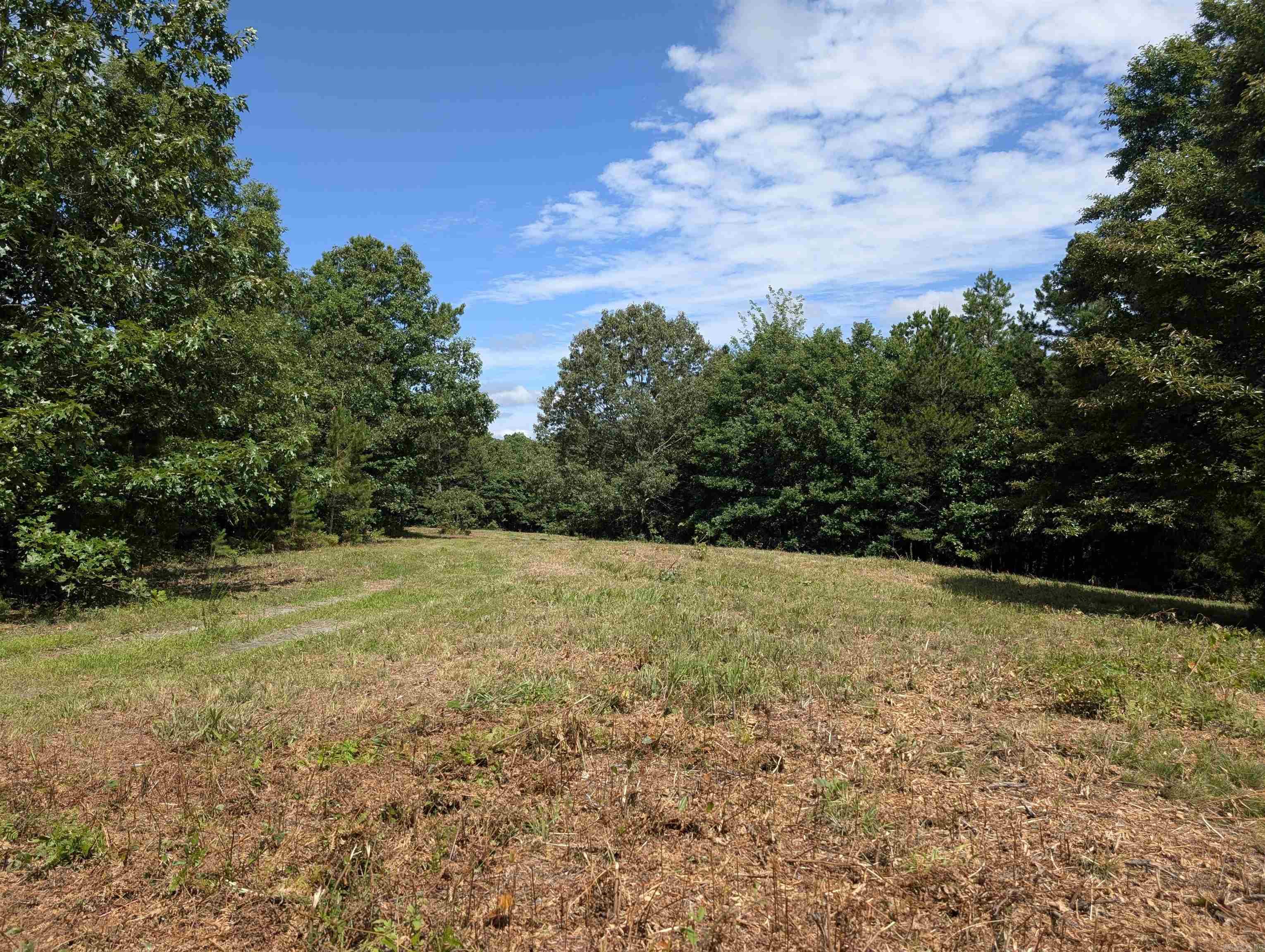 76.94 Acres | Surrounded by National Forest | Mountain Views & Creek Escape to your own private retreat! This 76.94-acre property is a rare find — bordered on all sides by the Ouachita National Forest for unmatched privacy, wildlife, and access to thousands of acres of public land. Rolling terrain, expansive mountain views, and a year-round creek running through the property create the perfect backdrop for your outdoor adventures, plus it has a well in place! Whether you’re looking for exceptional hunting land, a recreational getaway, or a future cabin build site, this acreage offers endless potential. Enjoy the peace and solitude of untouched nature, all while being close to local amenities when needed. Properties like this don’t come up often — especially with this level of seclusion and natural beauty. See Agent remarks.