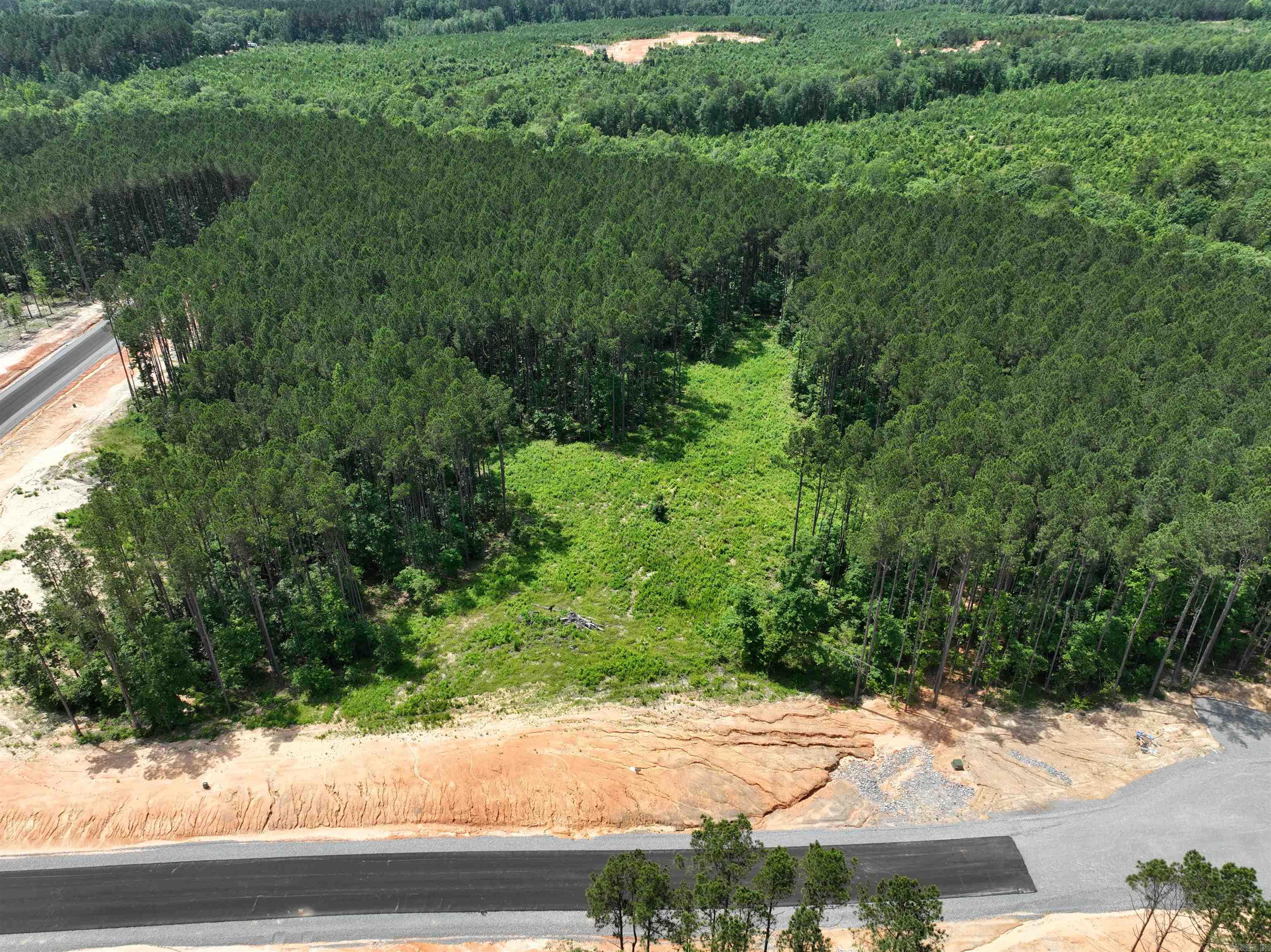 Mountain Pine - Land