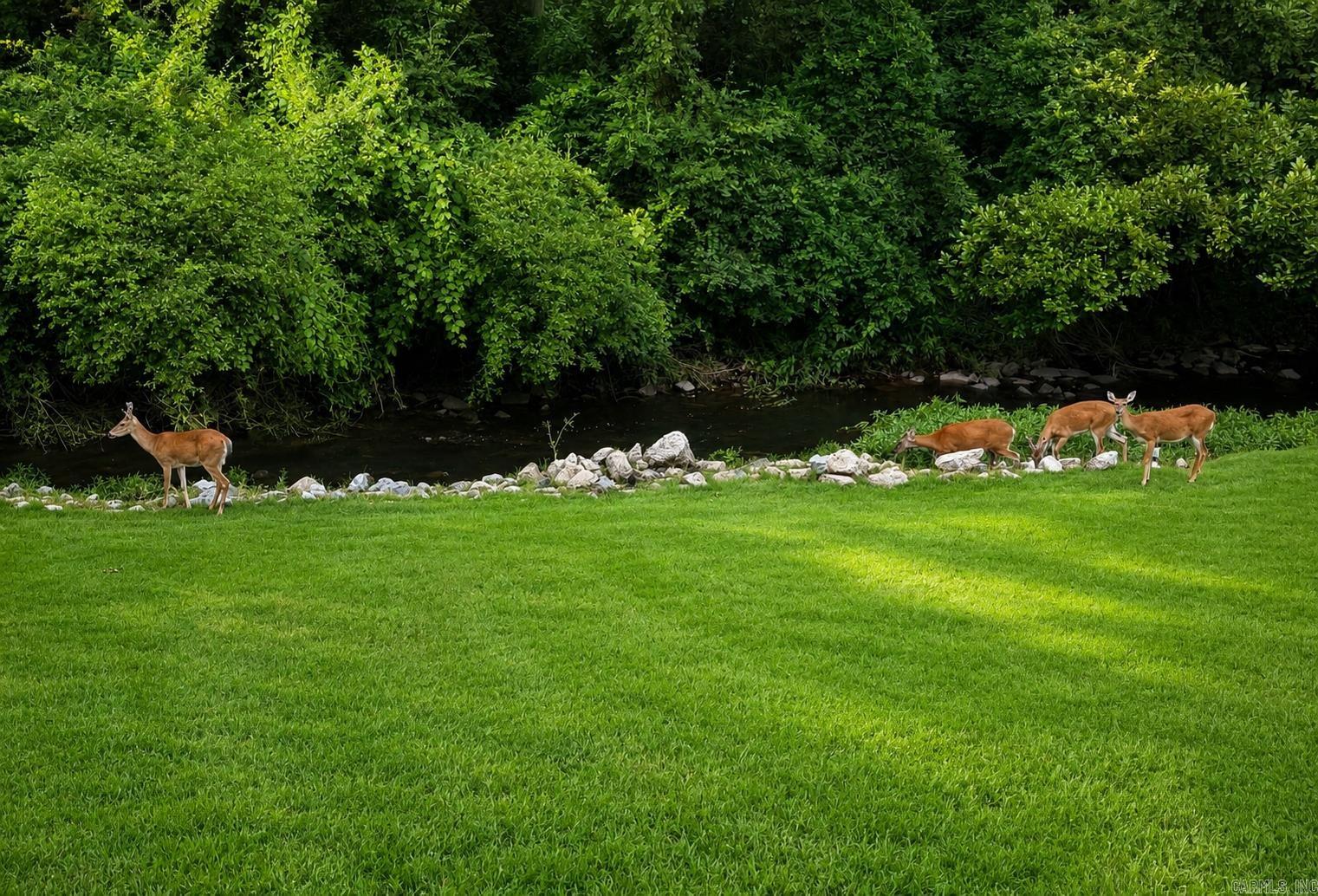 TIMBER CREEK - Residential
