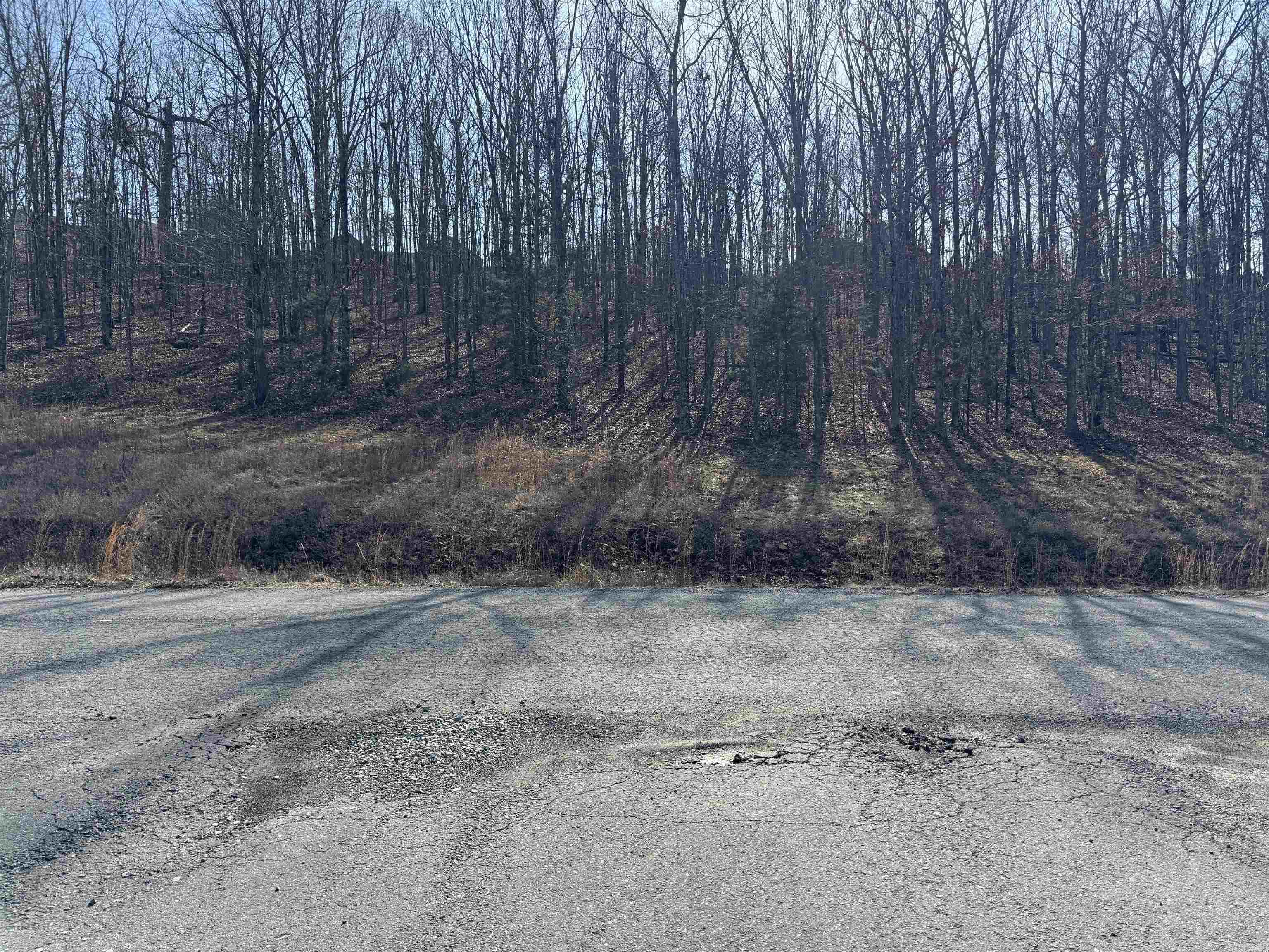 Mountain Ranch Estates - Land