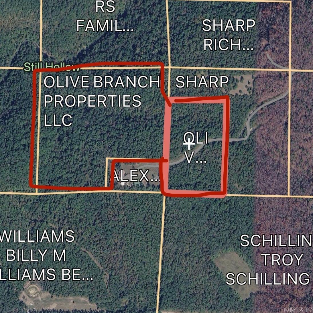 49.91 acres good for hunting land.  Dirt road to property. (Neighbors do have dogs, so do not go without heads up to the neighbor so that they can put their dogs up, see agent remarks).  Contact Listing agent for gate code. See survey online for more details and easement access. Property is wooded. Sellers to retain any mineral rights.
