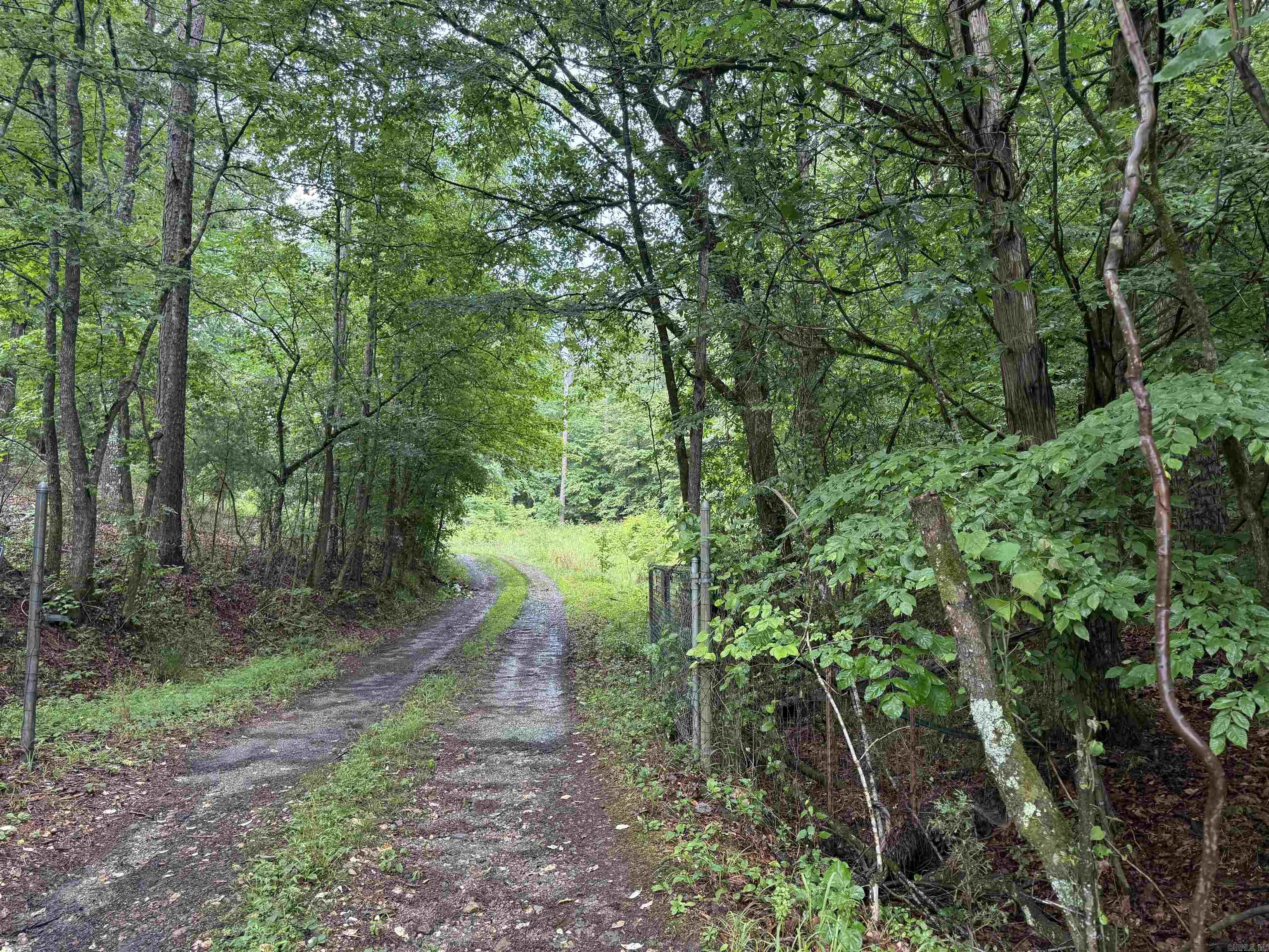 Beautiful acreage with endless potential. Existing home is in distressed condition and will require either a complete renovation or removal to make way for a new home. Property is being sold as is.