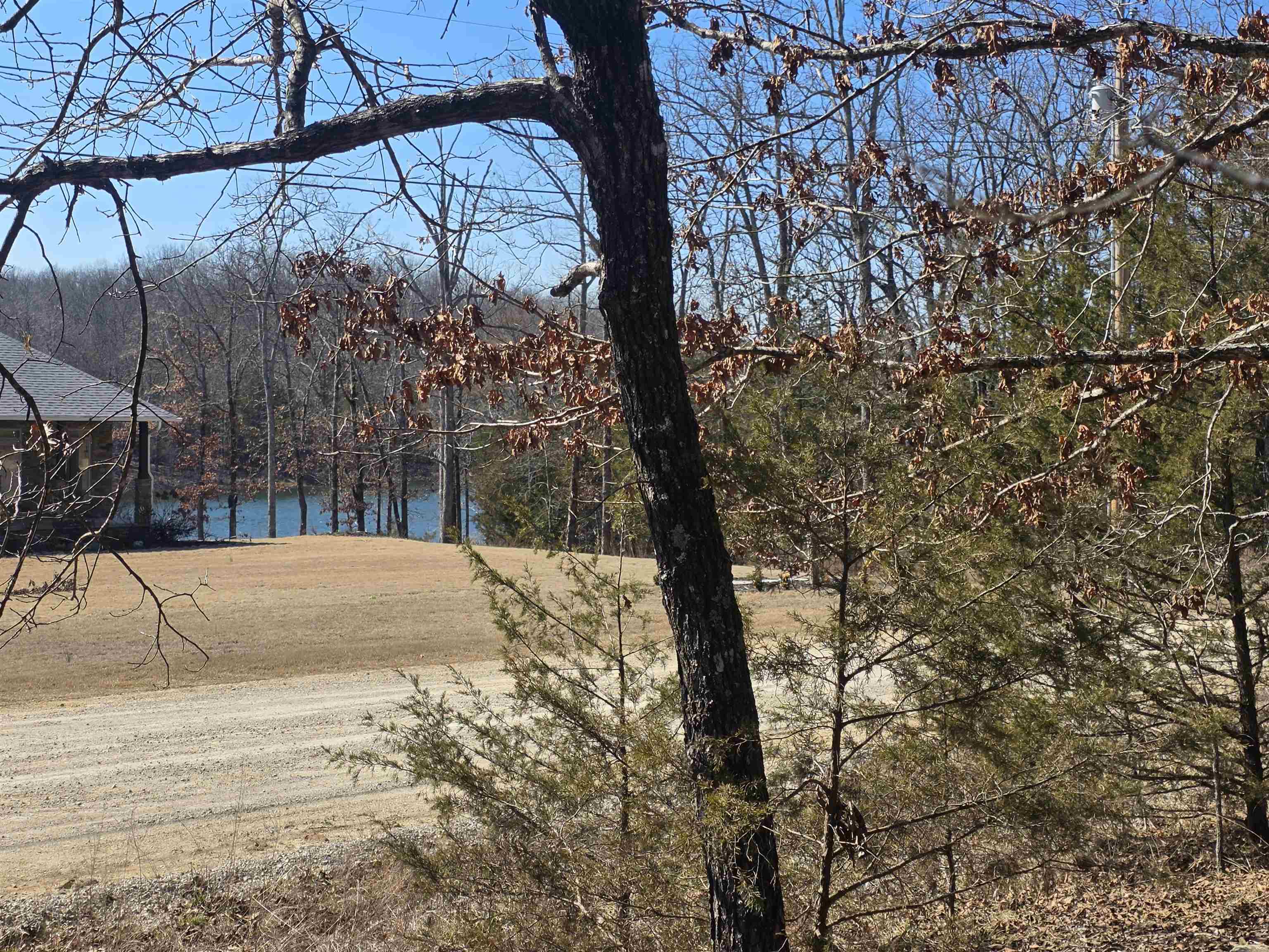 Wonderful Lake-view lot on beautiful Diamond Lake of Horseshoe Bend. Come pick out your building spot for your new home on this very level lot. Great location on the East side of Diamond Lake. There are multiple large oaks and some cedar trees on the property. Only a couple of homes on this entire road very private but still close to town. Horseshoe Bend has 5 lakes and 2 golf courses and the beautiful Strawberry River nearby. Come see this fantastic lakeview lot for yourself and you will see why it is a steal at $15,000.00