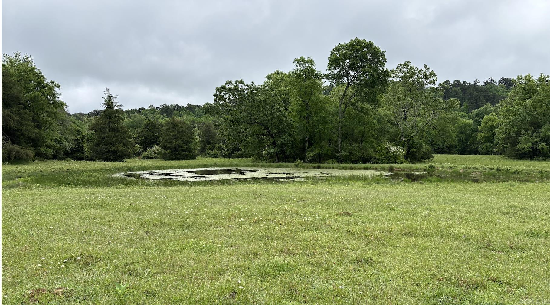 15 Acres of paster land fenced and currently has cattle grazing. It has three mature pear trees. Year around pond on the north side and small section of creek to the south. Forest service access is literally right across the street and there is another access road about a 1/2 mile to the west. You are also about 15 min from a public access to the caddo river and about 15 min to twin creek boat ramp on Ouachita.
