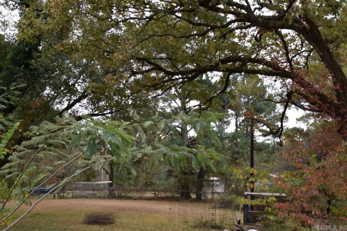 Lake Wilhelmina - Residential
