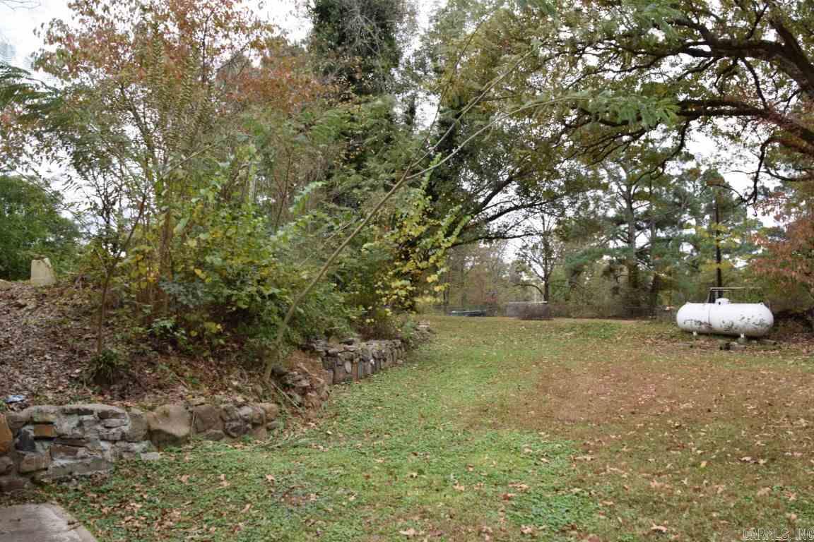 Lake Wilhelmina - Residential