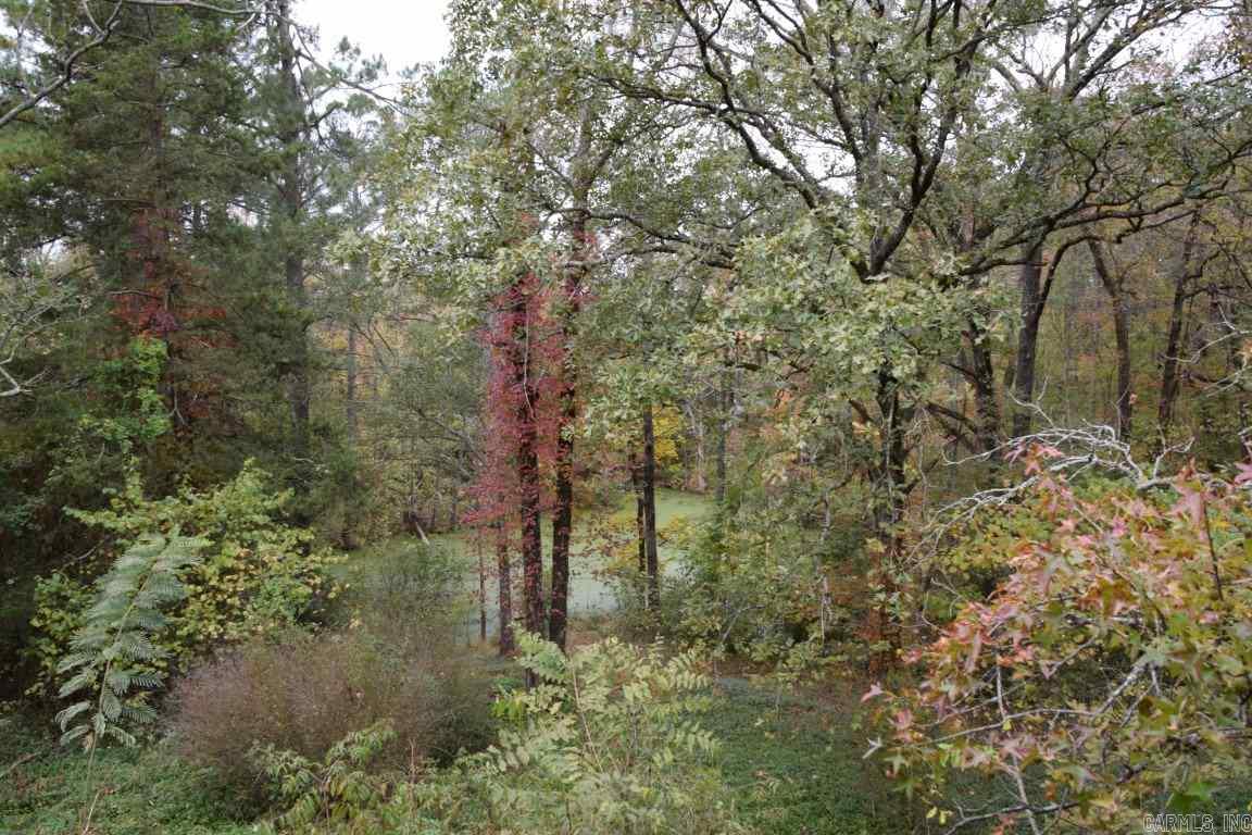 Lake Wilhelmina - Residential