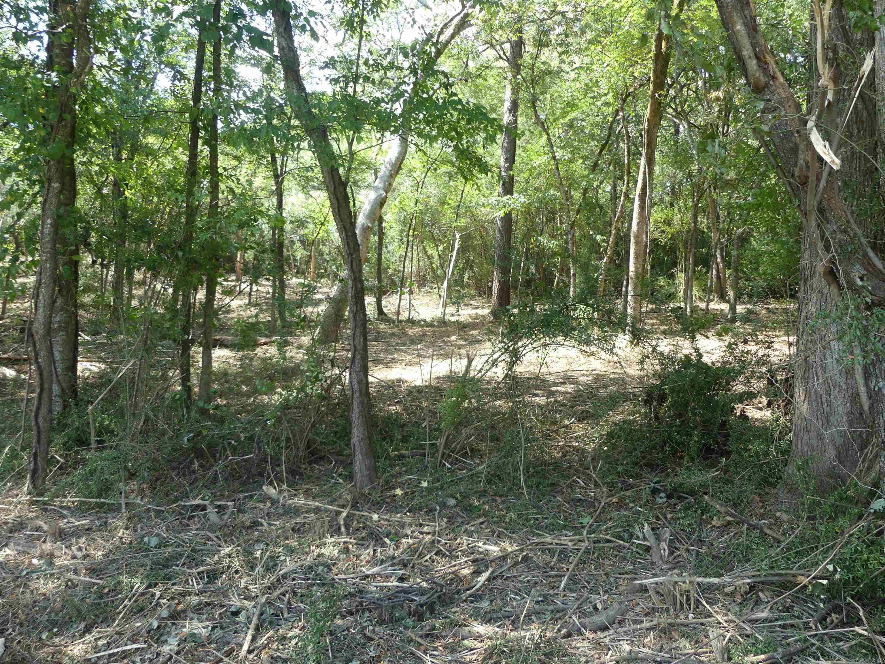 Three lots located across the street from Lake Hamilton in this quiet Mountain Pine Community. Lots have been cleared and surveyed and have electric and water at the street. Just bring your house plans and your contractor and start getting ready for your relaxing forever or vacation home!
