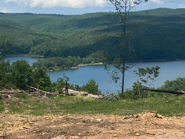 MY OH MY, WHAT BEAUTIFUL LAKEVIEW AND MOUNTAIN VIEW PROPERTY THIS  41 ACRES IS.  JUST ABOUT ANYWHERE YOU WANT TO BUILD ON THIS WONDERFUL ACREAGE YOU WILL BE DELIGHTED IN YOUR VIEW OF GREERS FERRY LAKE & ITS COUNTRYSIDE.  THIS WOULD MAKE A GREAT LAKEVIEW SUBDIVISION OR WOULD YOU PREFER TO HAVE THE VIEW, AMAZING WILDLIFE AND COMPLETE PRIVACY TO YOURSELF BECAUSE BOTH ARE POSSIBLE. Just outside city limits puts u very close to town for restaurants and shopping. There is a mobile home located on the property to live in while you build that dream home or multiple dream homes. New well, new septic, electric, remodeled mobile that is as cute an clean as it can be.  TWO SPRINGS ON PROPERTY (well is tapped in to one). Well is 100ft deep pumping 13 gal per minute. Property Only 1000 off pavement (Hwy. 92) and gated. MORE PICS AND DRONE FOOTAGE TO COME.
