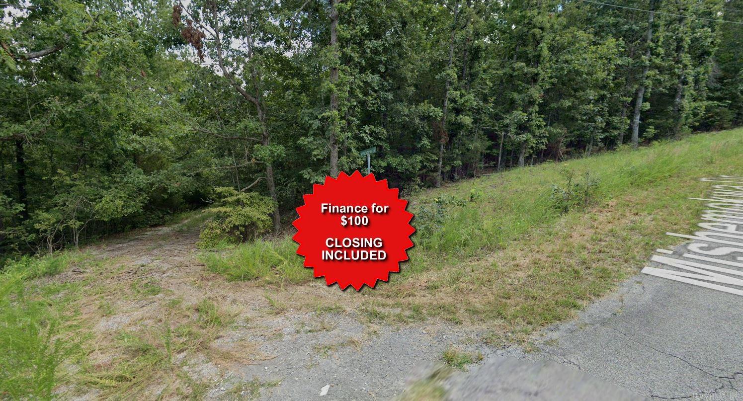 Owner-finance for easy terms. Cash buyers can pay by debit or credit card as well. Nice lot to develop or hold for future value. Public water and electric may be available to run to property and will need septic. Owner/agent. No mobiles allowed. 1000 minimum build size on any other type of home, depending on subdivision. Finance is $100 finance fee and 4 months at $150 and closing costs are included. Buyer responsible for any/all taxes and lots sold "as-is". Quit claim deed conveys. Parcel ID# 295-17403-000
