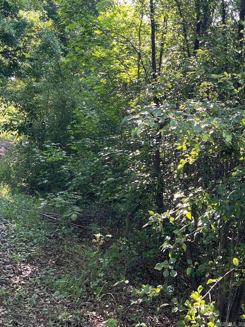 Great location to build starter homes , tiny houses , duplexes or your personal residence .
