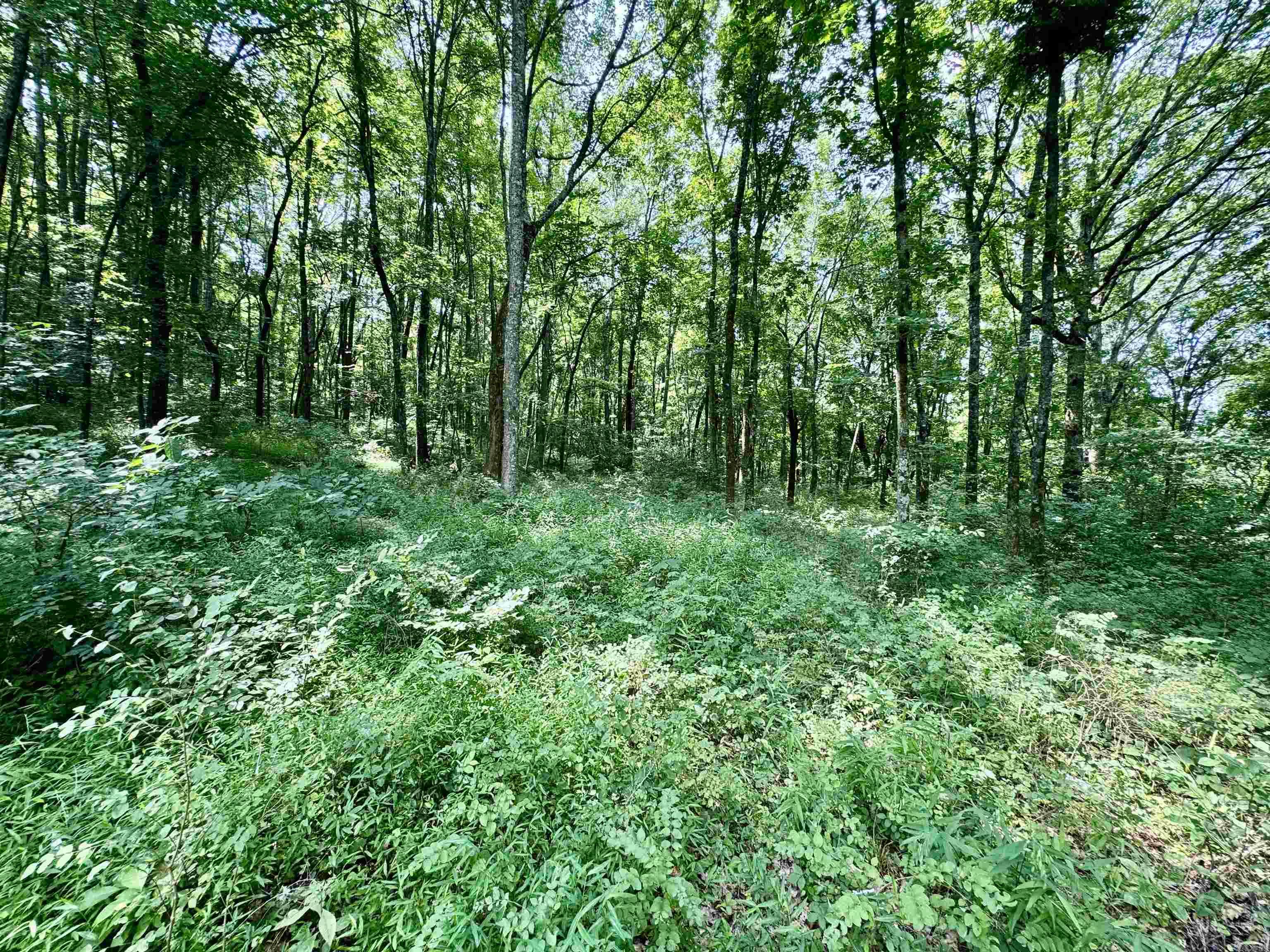 Not in Subdivision - Land