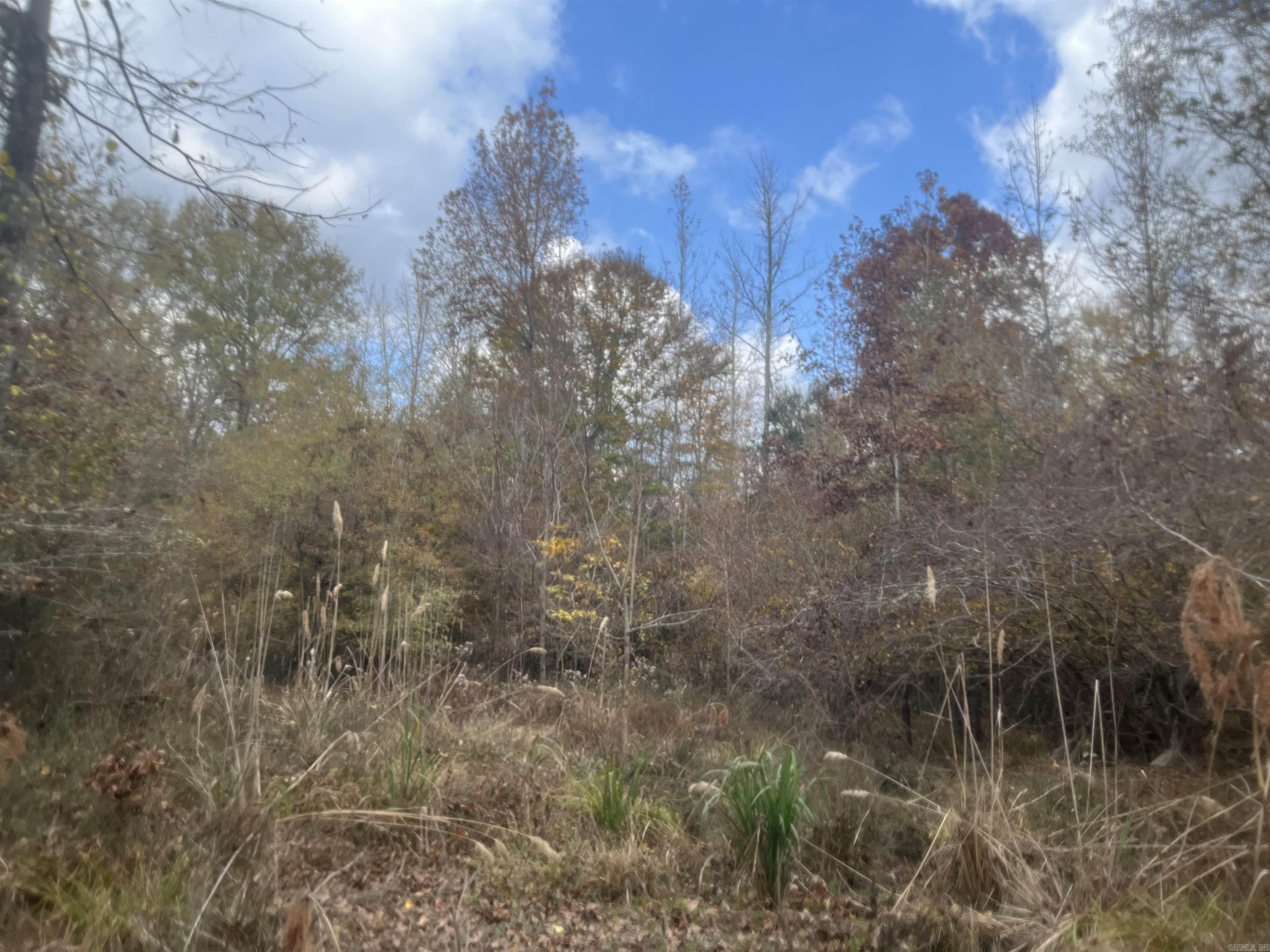 Looking for that hunting tract that offers just about everything?...then look no further than the Hogan #12 (#03019-004096) which is a ±80-acre tract of timberland located in southwestern Union County about twenty miles southwest of El Dorado, AR and fifteen miles west-northwest of Junction City, AR.  The west boundary of the tract is the Columbia-Union County line.  The property can be accessed via woods road off Union RD 203, a.k.a Salem Cemetery Road.  The whole tract features a merchantable stand of mixed hardwood and pine.  Being located on the edge of Cornie Creek Bottom, the topography is generally flat with the timber being predominantly bottomland hardwood.  The tract was selectively harvested around 2013 and was left with an excellent stand of timber.  A detailed timber inventory report is available upon request.  Where it is deer, turkey, hogs, or small game such as squirrels, the Hogan #12 Tract may be timberland and hunting investment you have been looking for!  (Mineral rights are not included.)