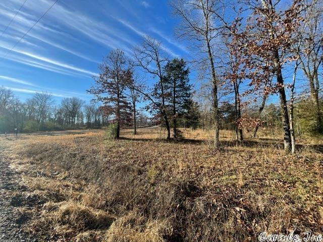 Pretty property with approx. 1 acre located in a flood zone. Lots of trees  with a cleared area perfect to build a home.
