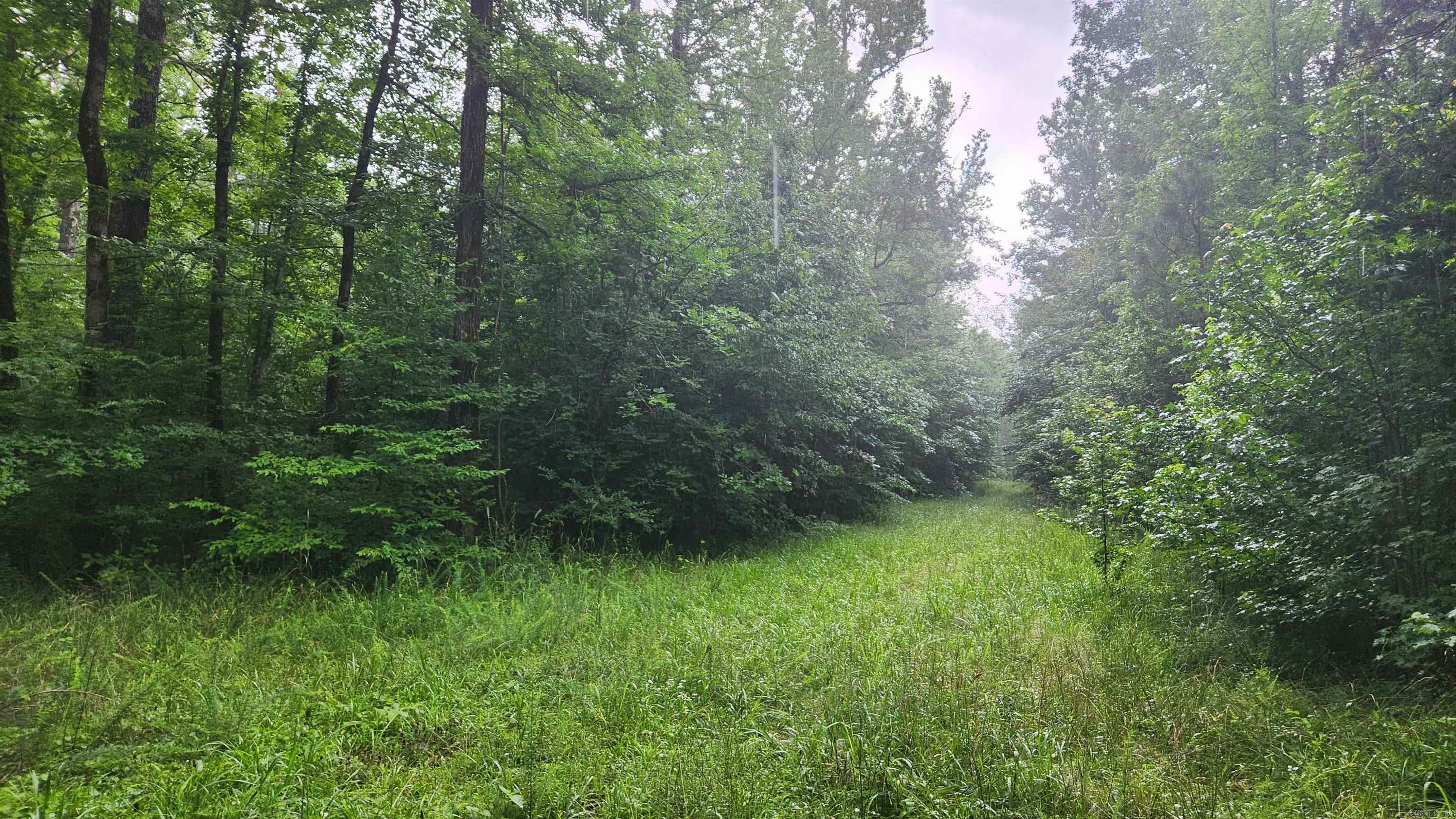 21.8 acres surrounded on 3 sides by Corp/Ouachita National Forest land. Muddy Creek is within walking distance of this property. There is a survey. There is power on the property. Lake Ouachita access is just down the road. Muddy Creek Wildlife Management Area is about a 4 mile drive.  Mostly wooded. A well will need to be drilled and septic installed. Nice view of Vanderslice Mountain.