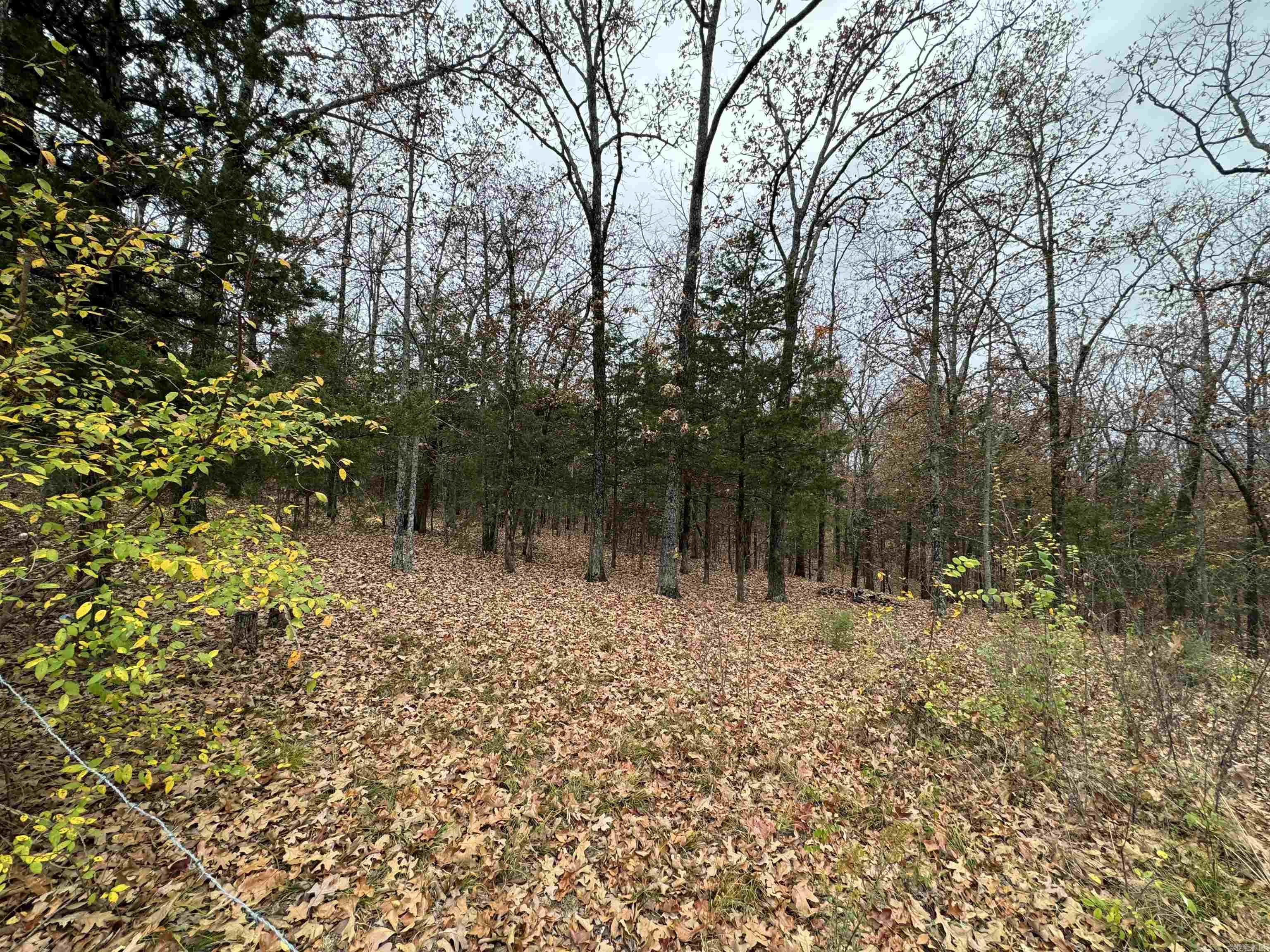 Fawndale - Land