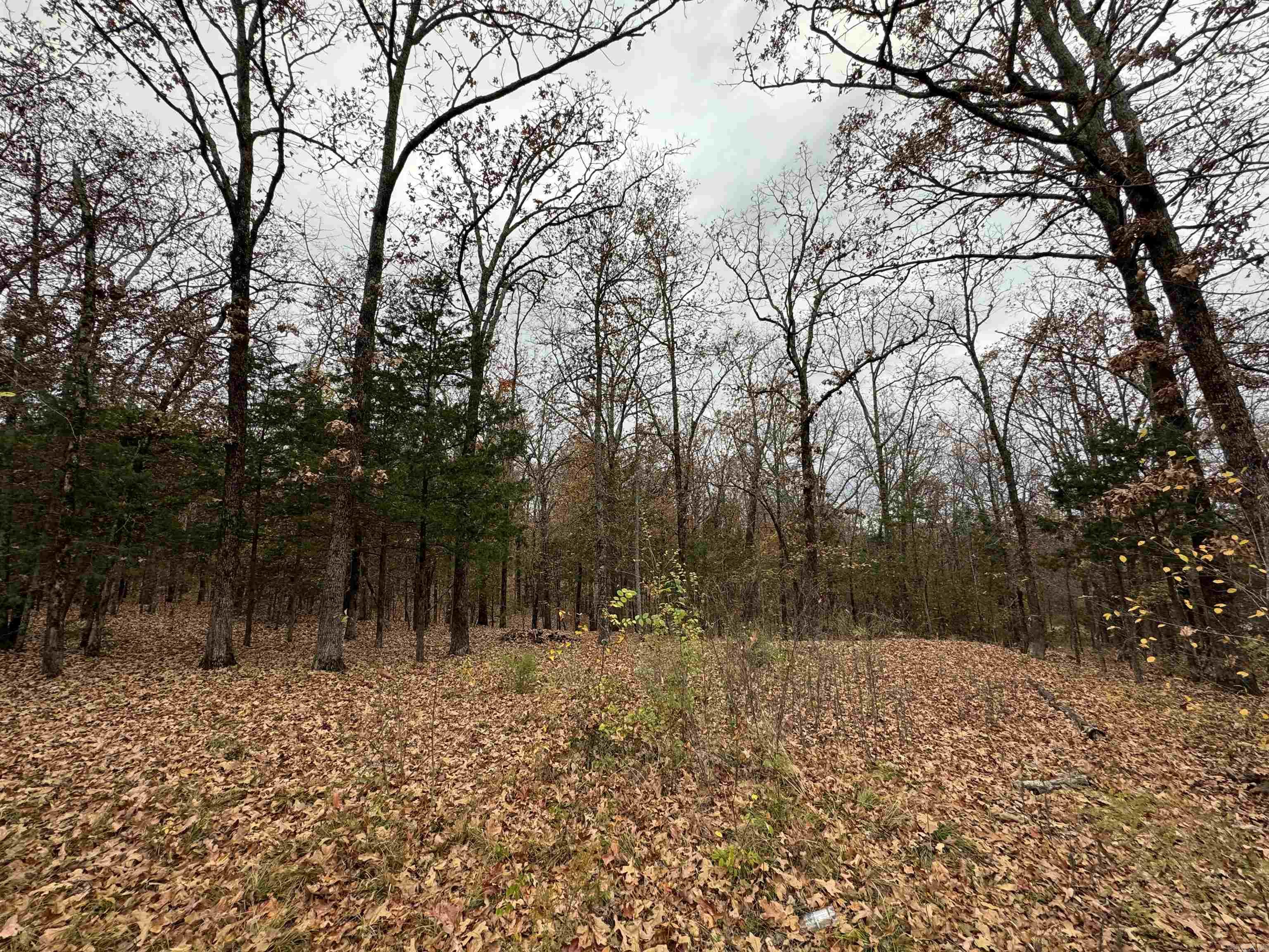 Fawndale - Land