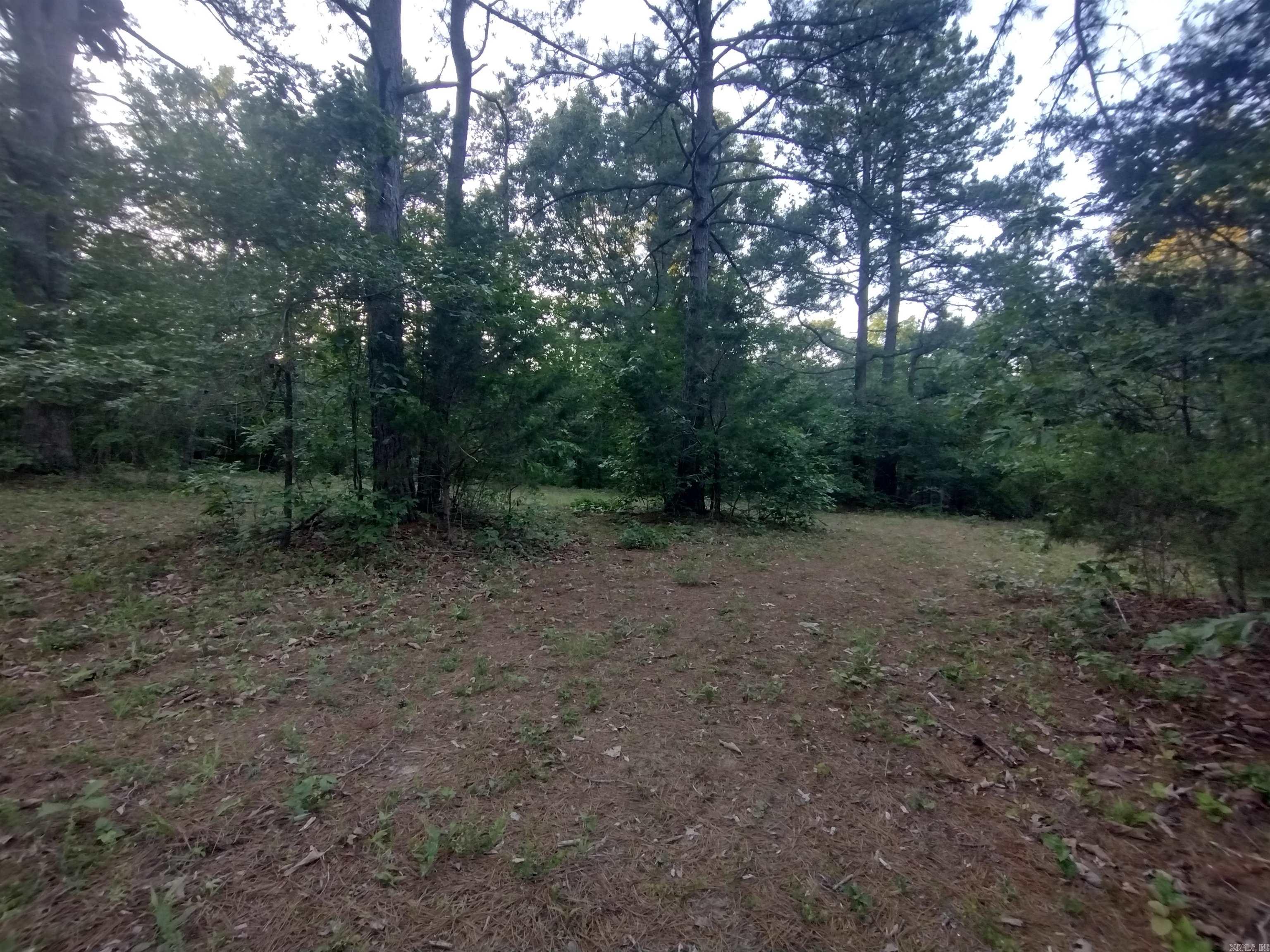 Looking for the perfect place to build your dream home? This gorgeous property offers stunning views a wet weather creek - peaceful privacy while still close to everything, House site has already been cleared to capture those amazing view right next to disc, golf close to Ozark Folk Center and city ball field, whether your ready build now or planning for the future this property is a great opportunity to enjoy country living with convenience .