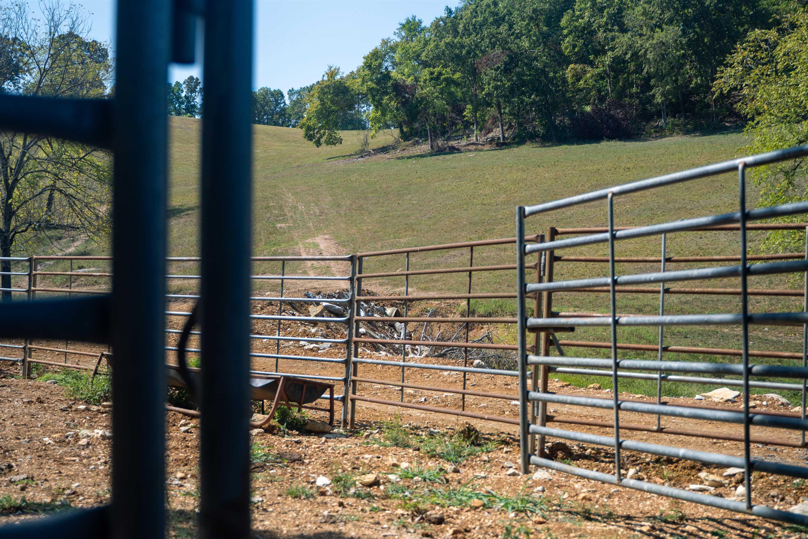 Morning Star - Farm