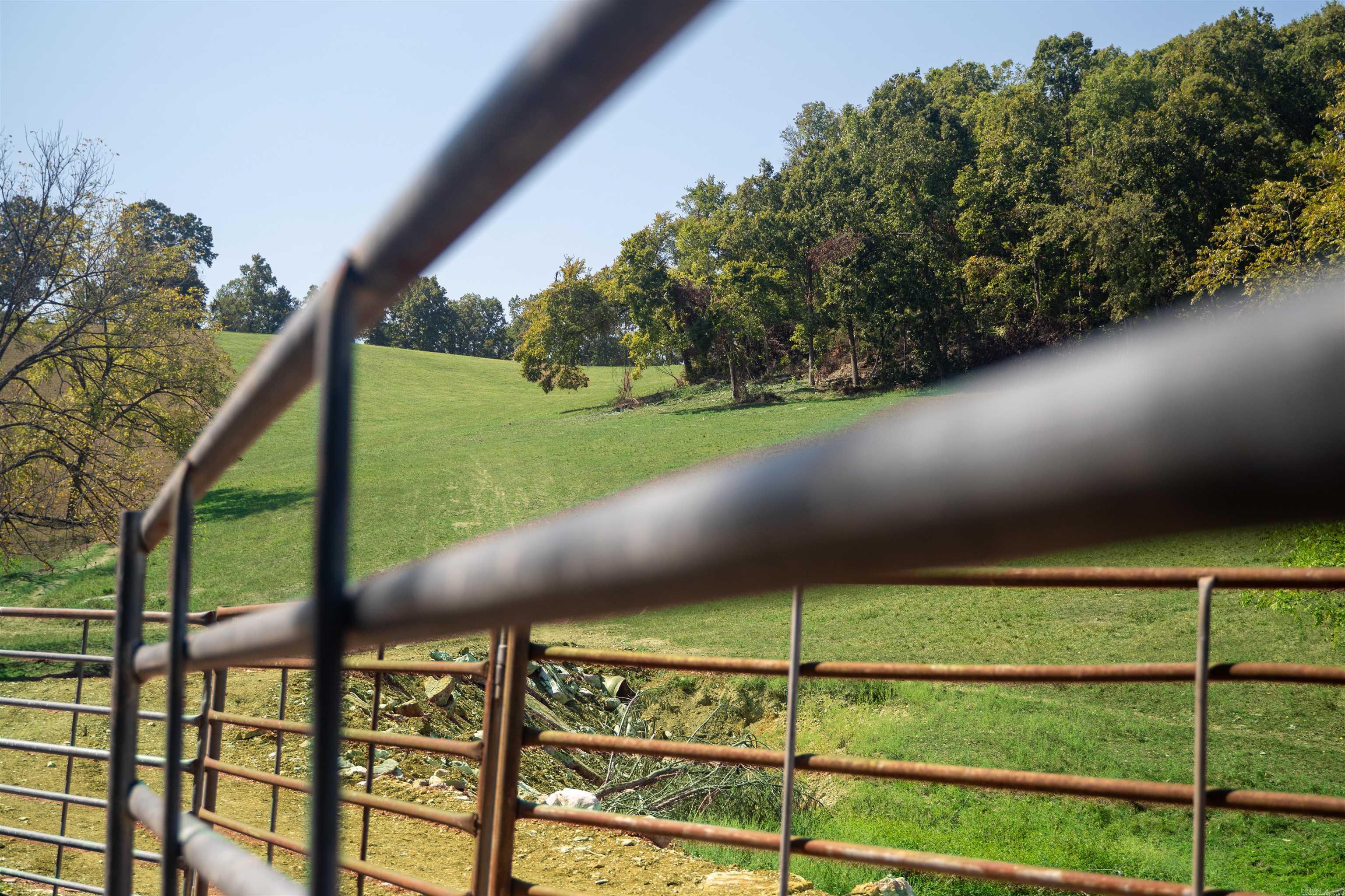 Morning Star - Farm