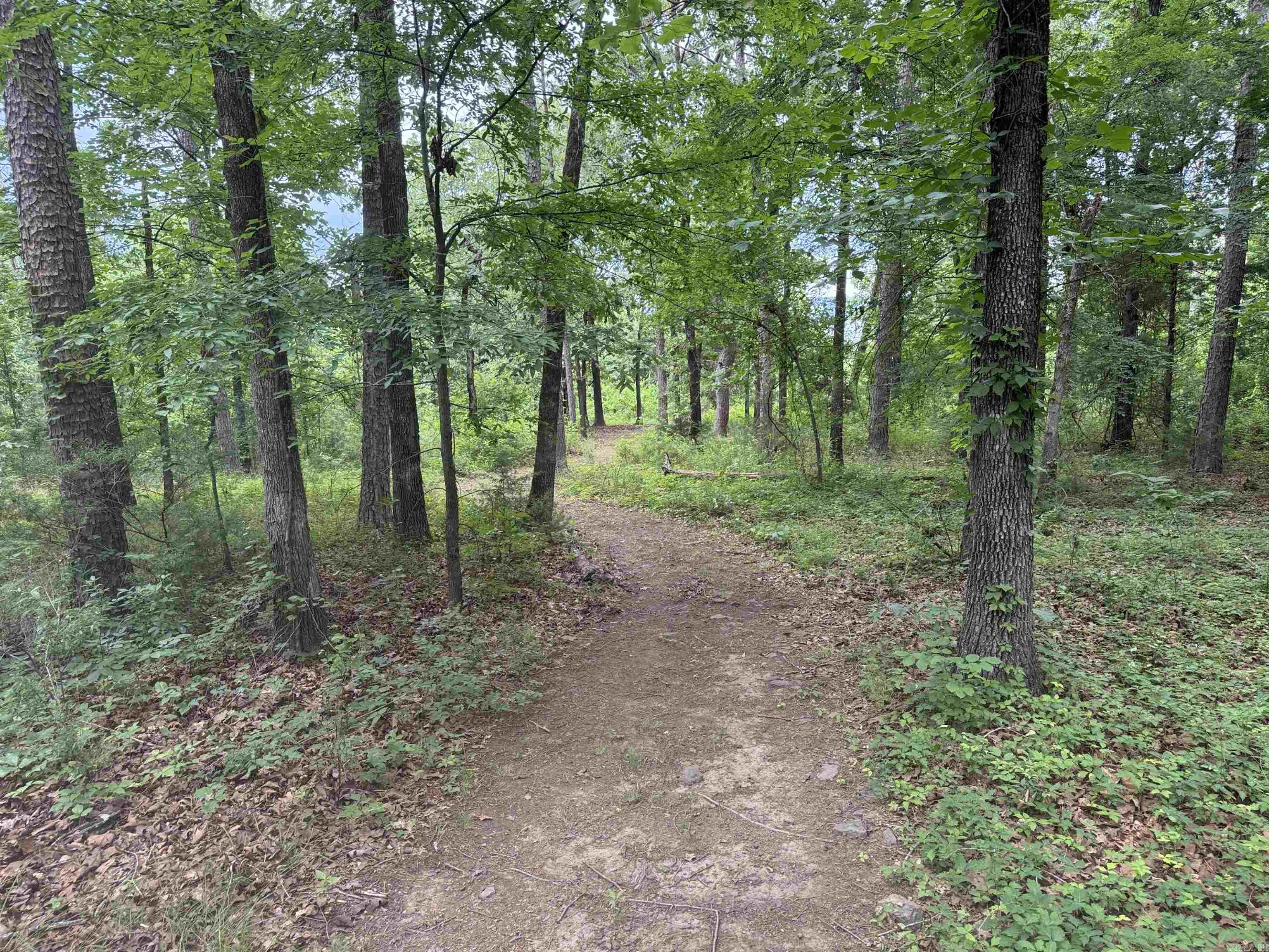 LAKESHORE HILLS (ANDERSON'S) - L - Residential