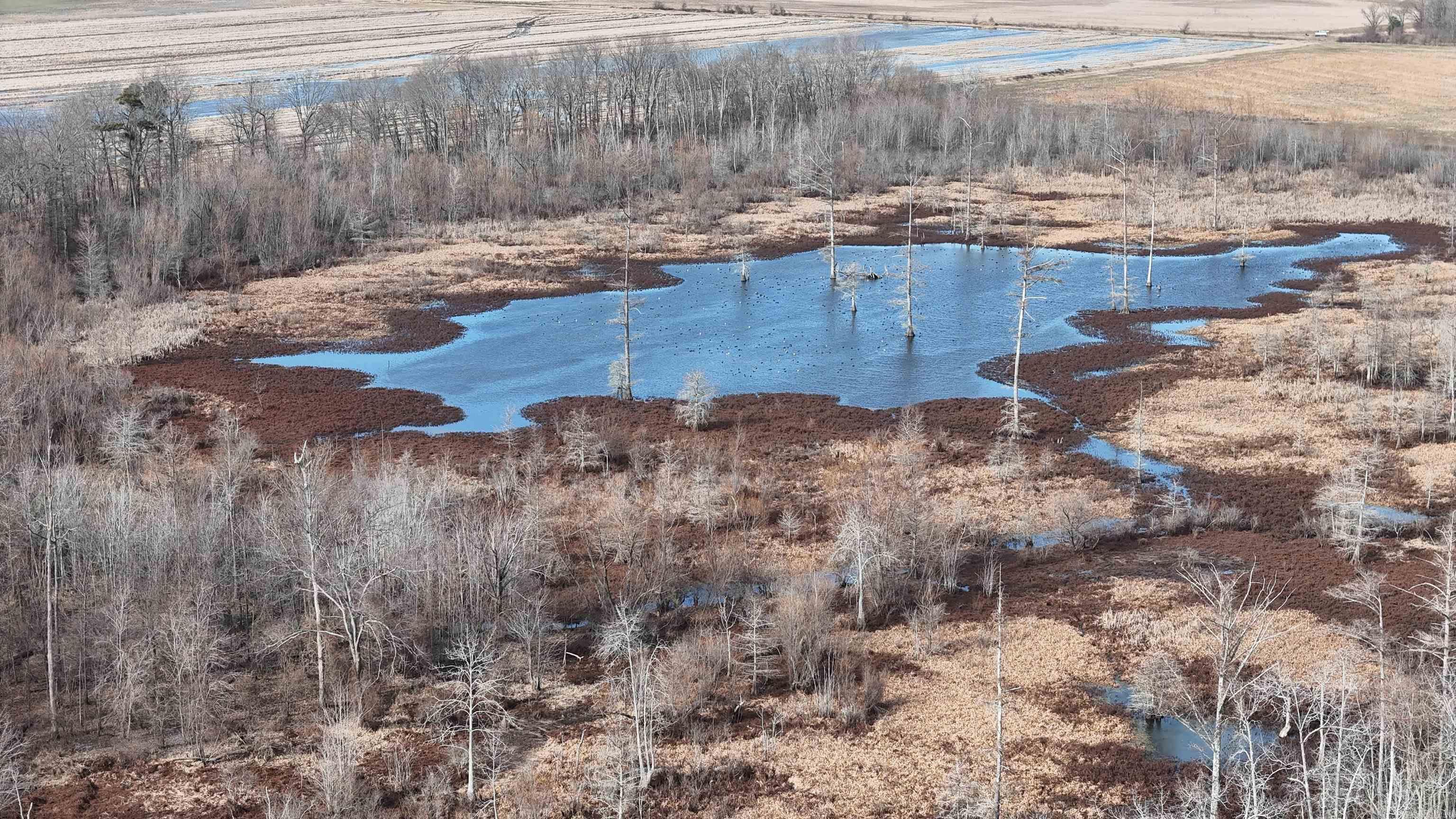 Not in Subdivision - Land