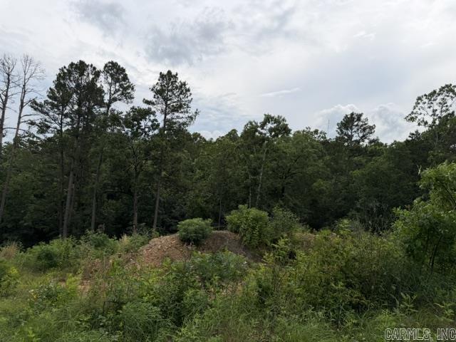 Panther Mountain Estates - Land