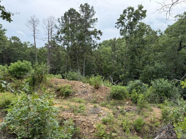 Panther Mountain Estates - Land