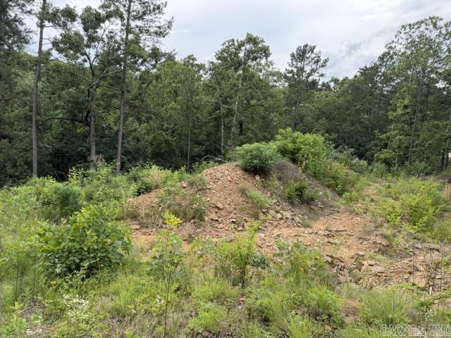 Panther Mountain Estates - Land