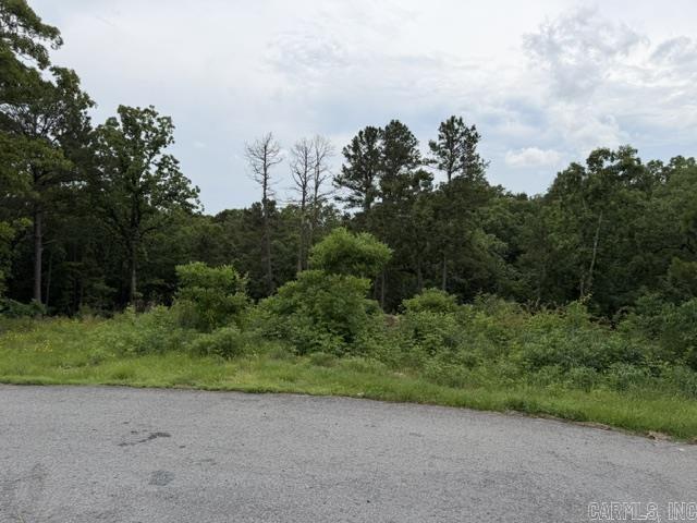 Panther Mountain Estates - Land